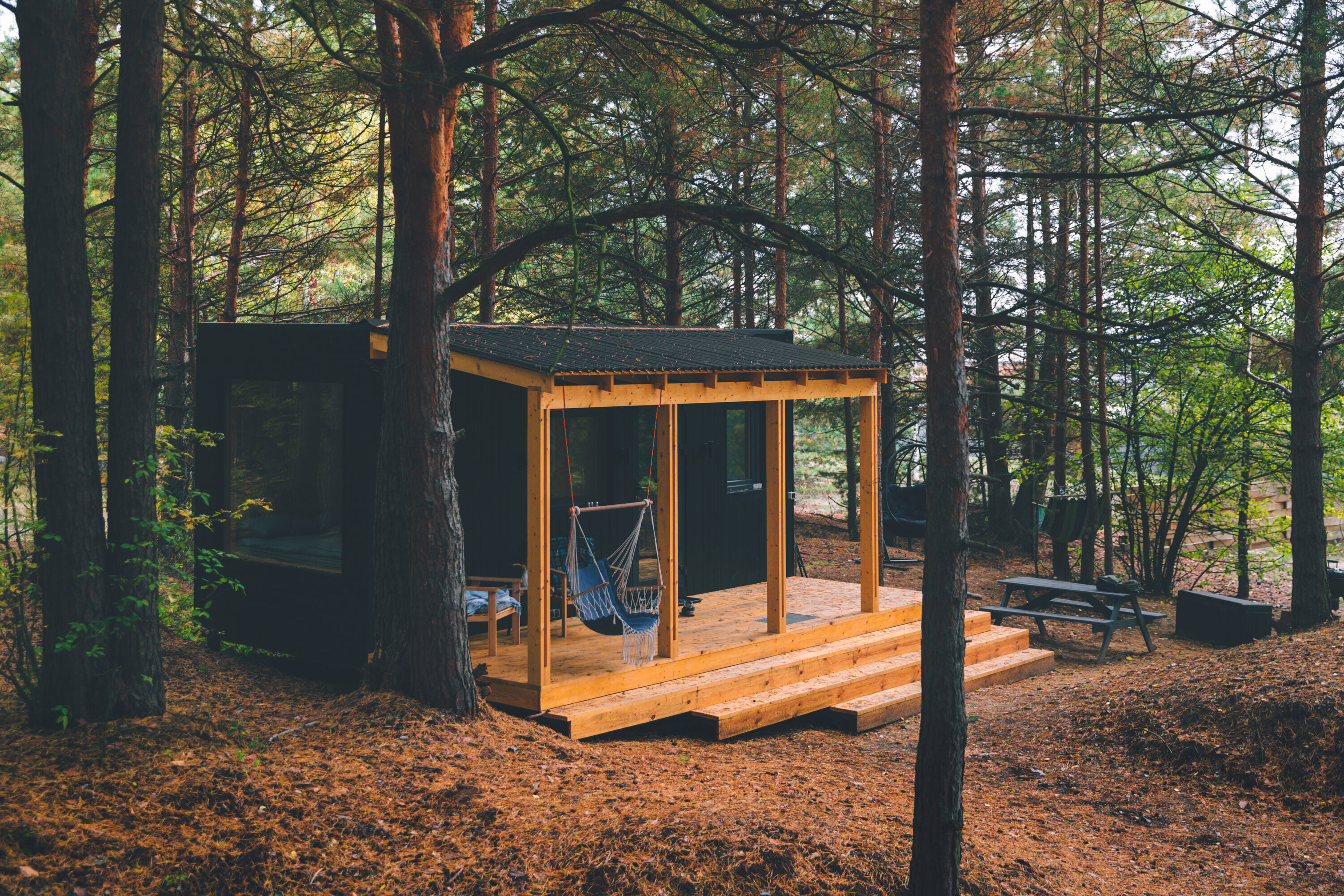 Дом с видом на лес