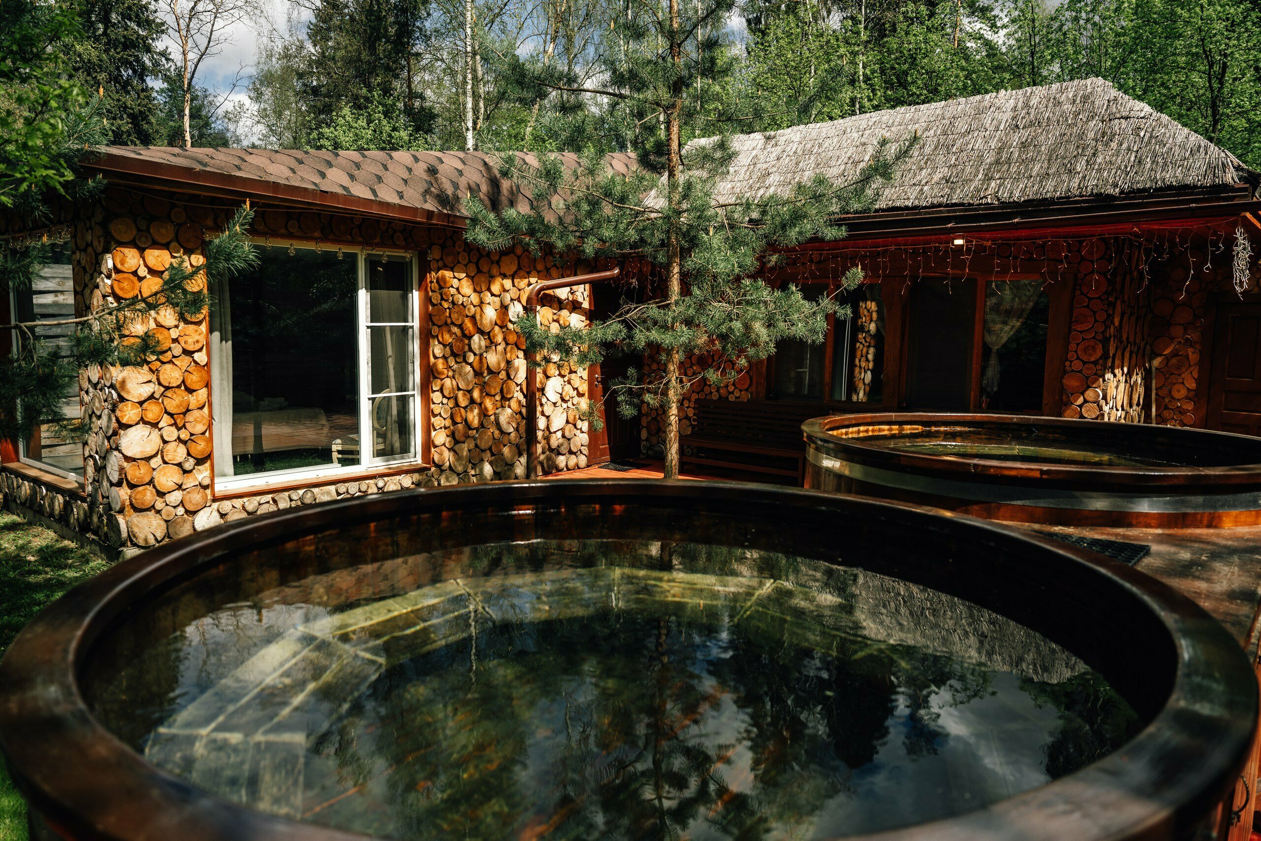 Дом с видом на лес