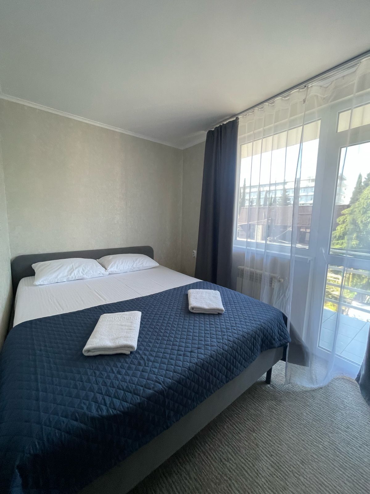 Двухместный номер Делюкс с 1 кроватью и балконом, вид на море