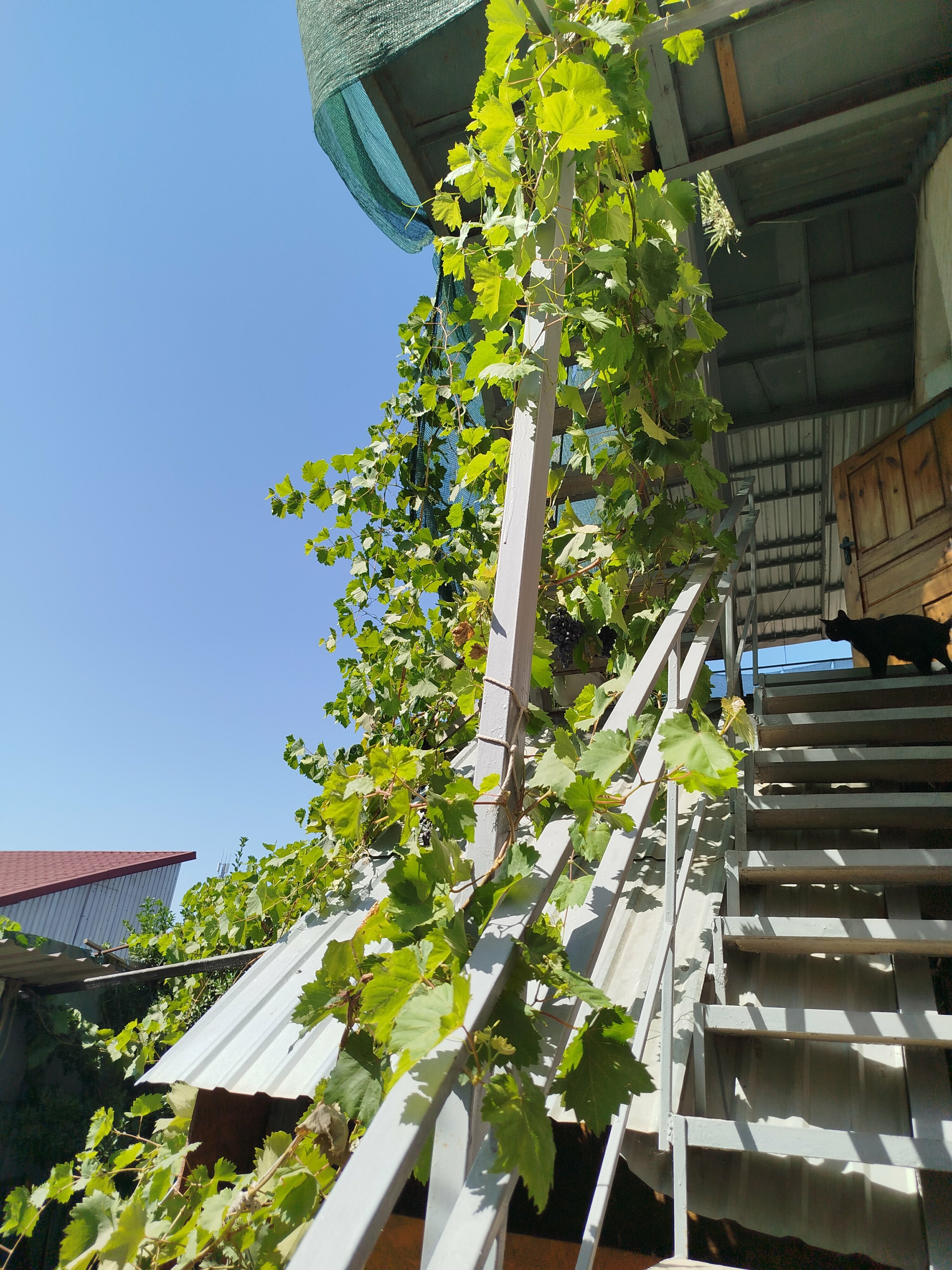 Четырехместный номер эконом-класса