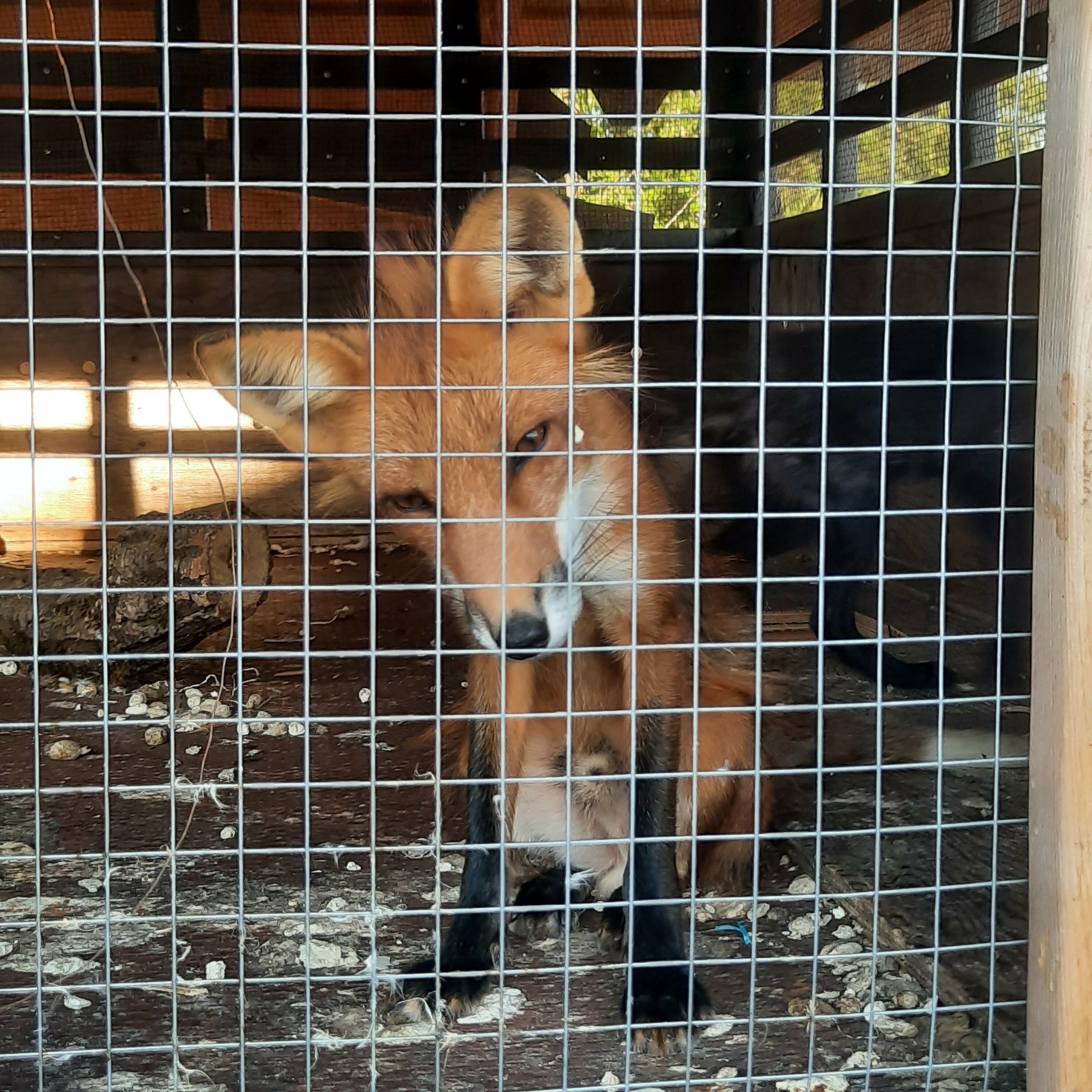 Семейный номер