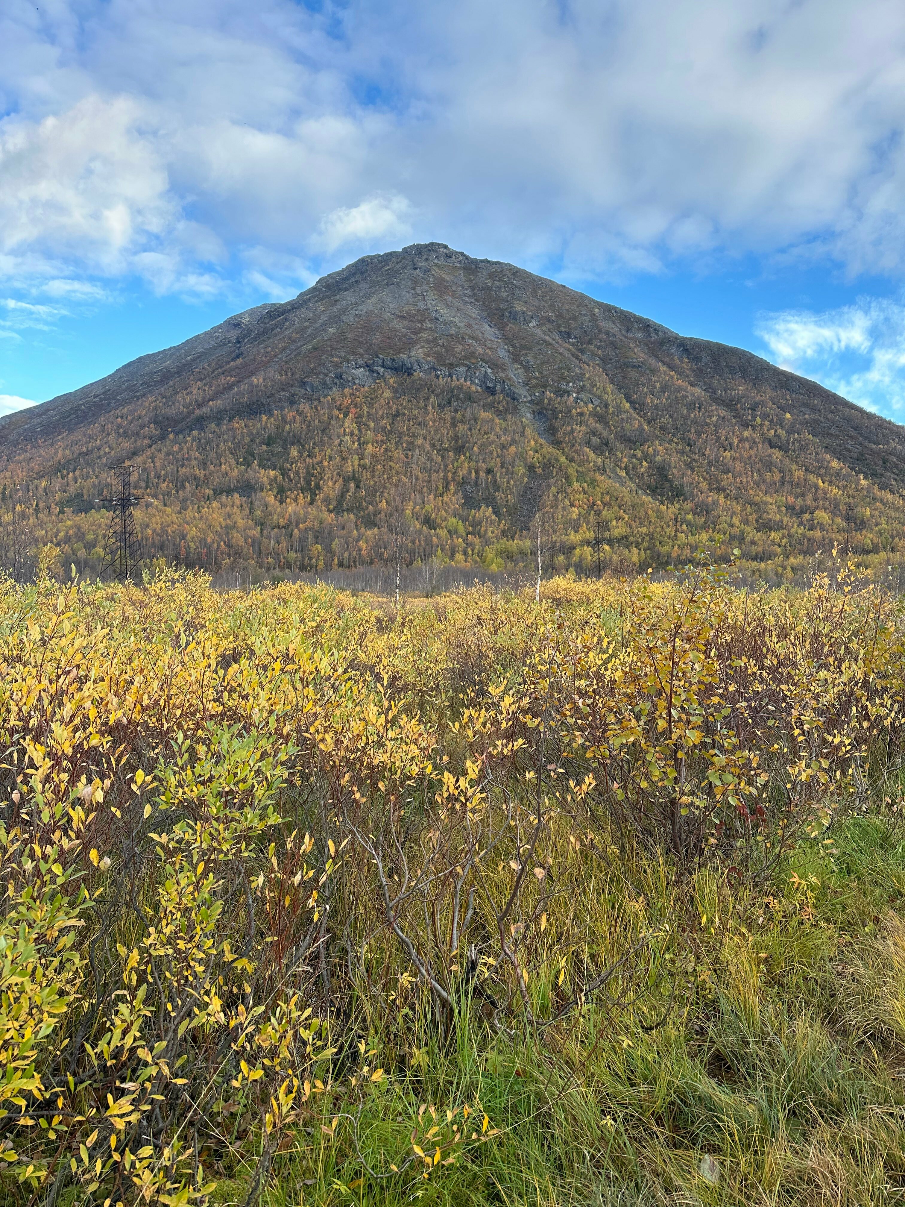 Двухместный номер с 2 отдельными кроватями, вид на горы