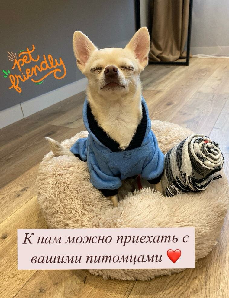 Двухместный номер Делюкс с 1 кроватью