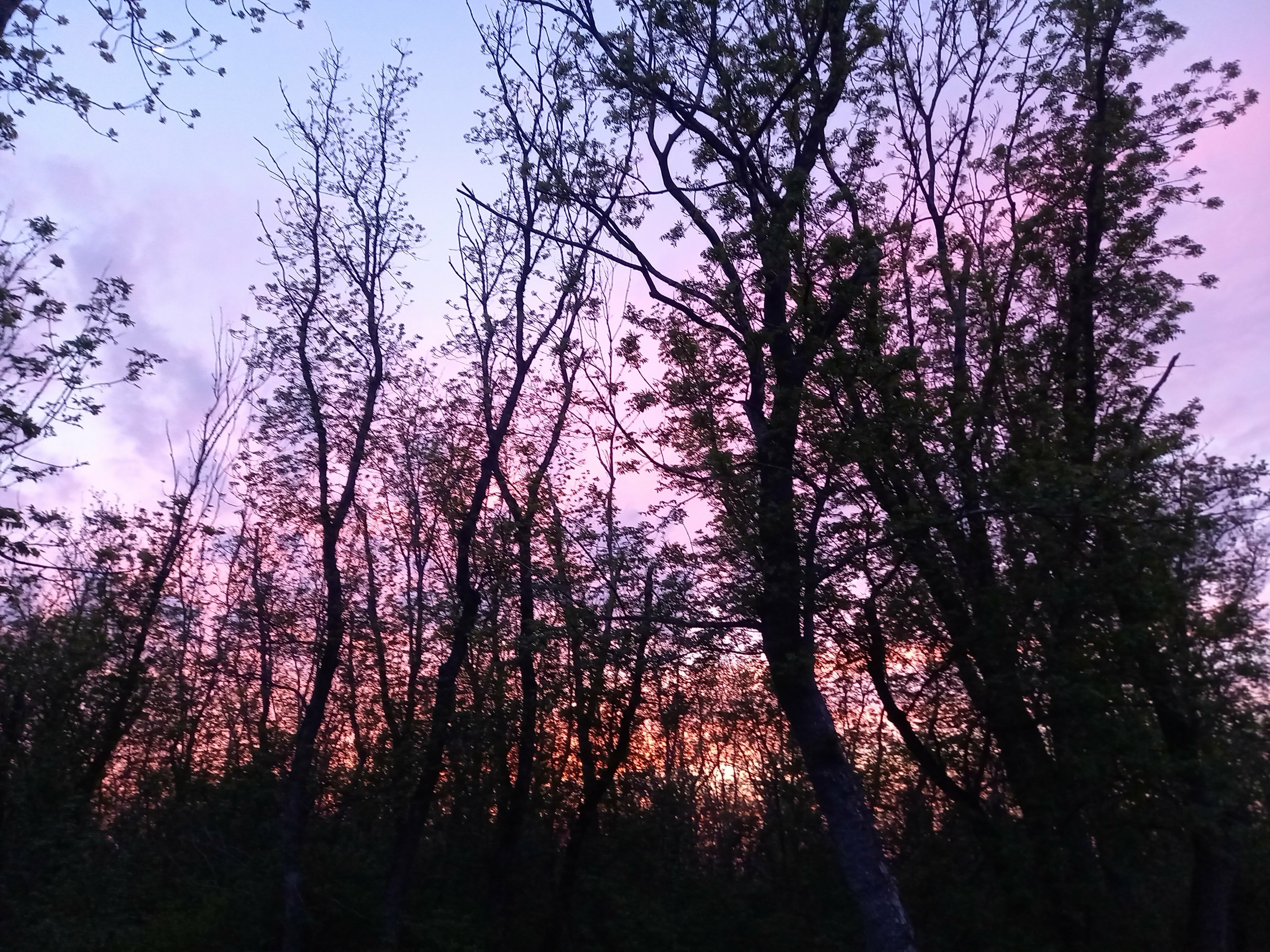 Четырехместный номер «Комфорт»