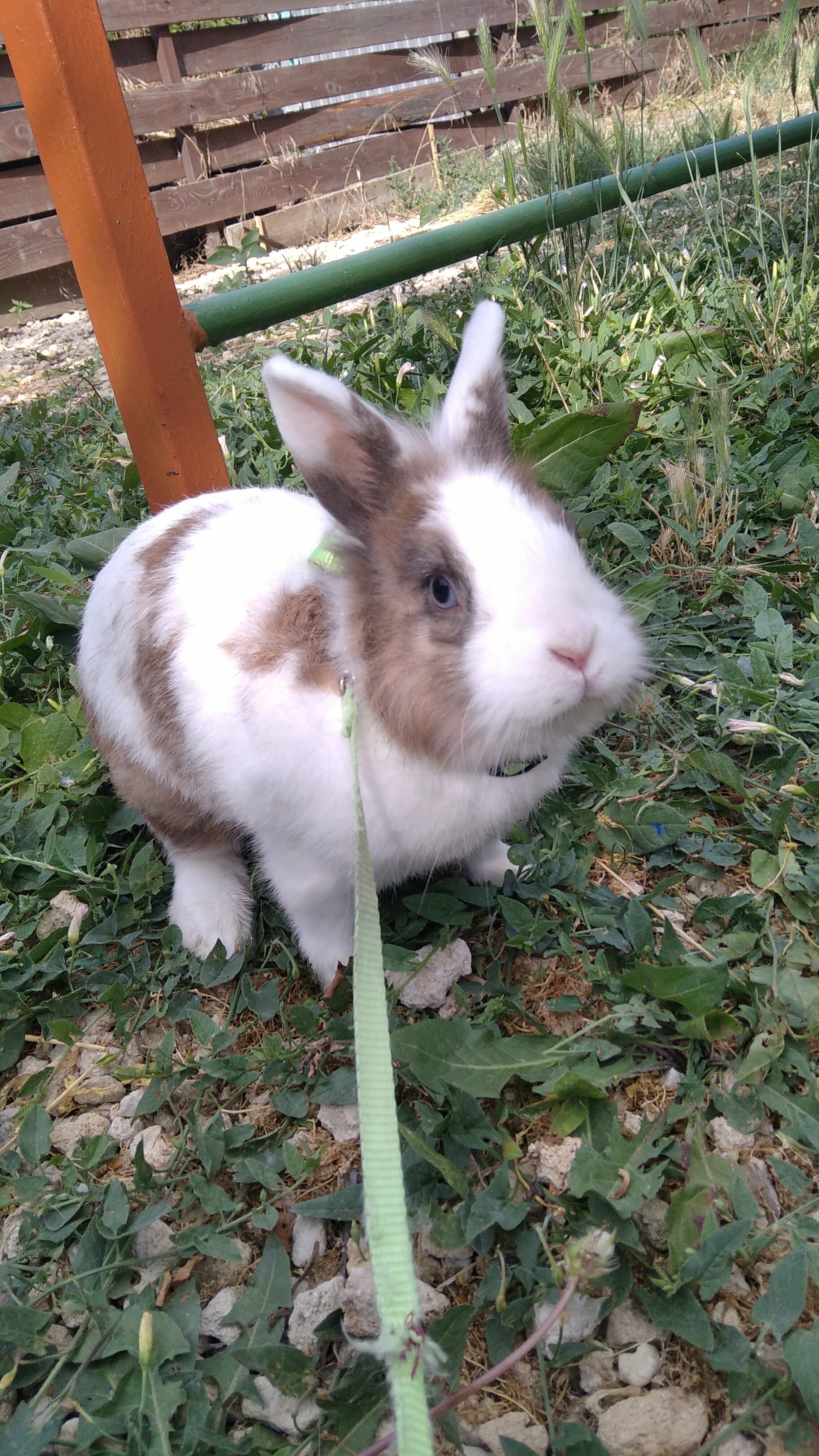 Семейный номер с террасой