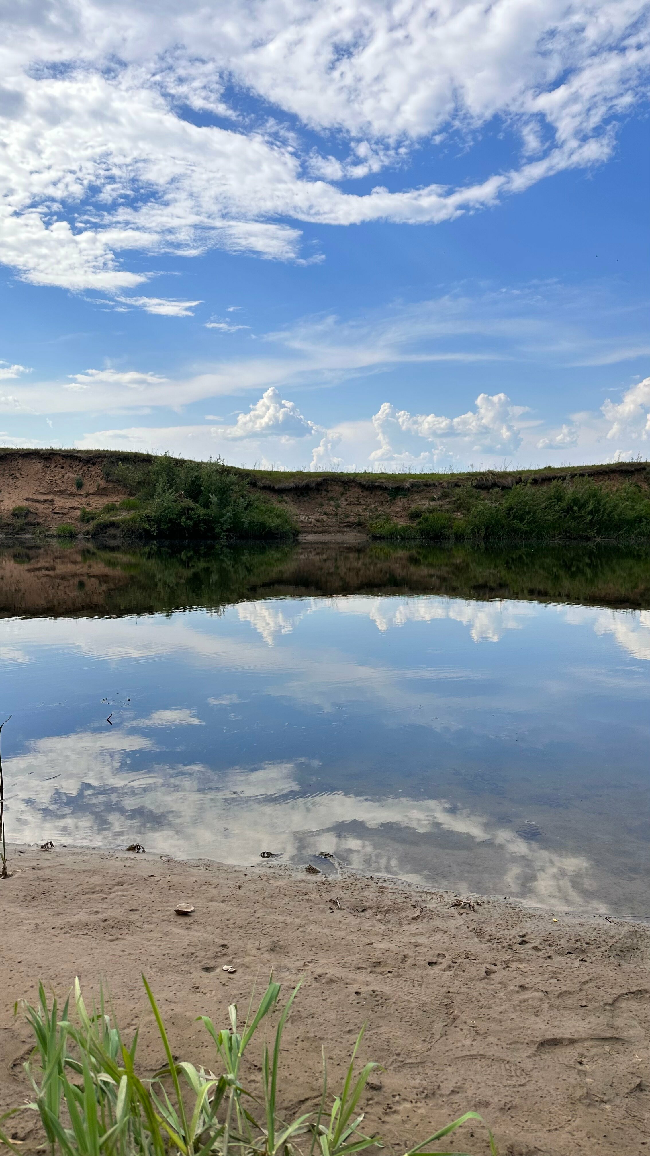 Дом с видом на лес