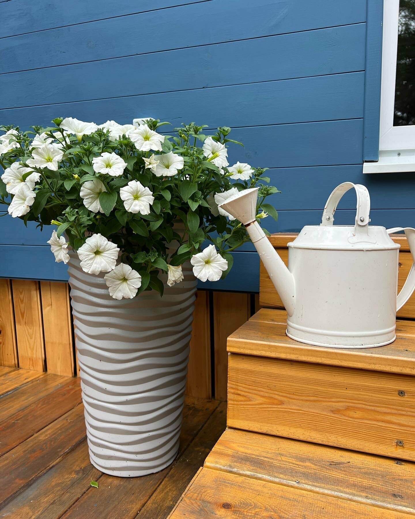 Дом с видом на лес