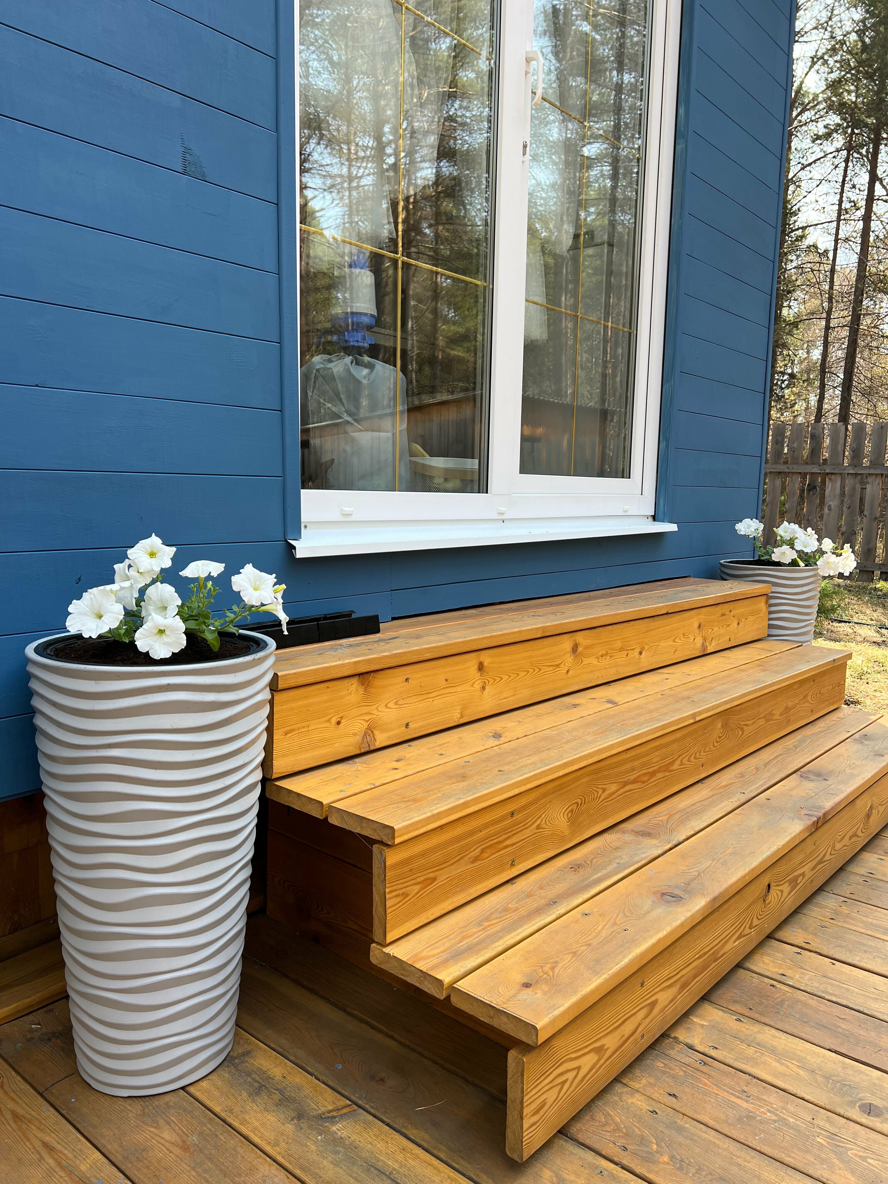 Дом с видом на лес