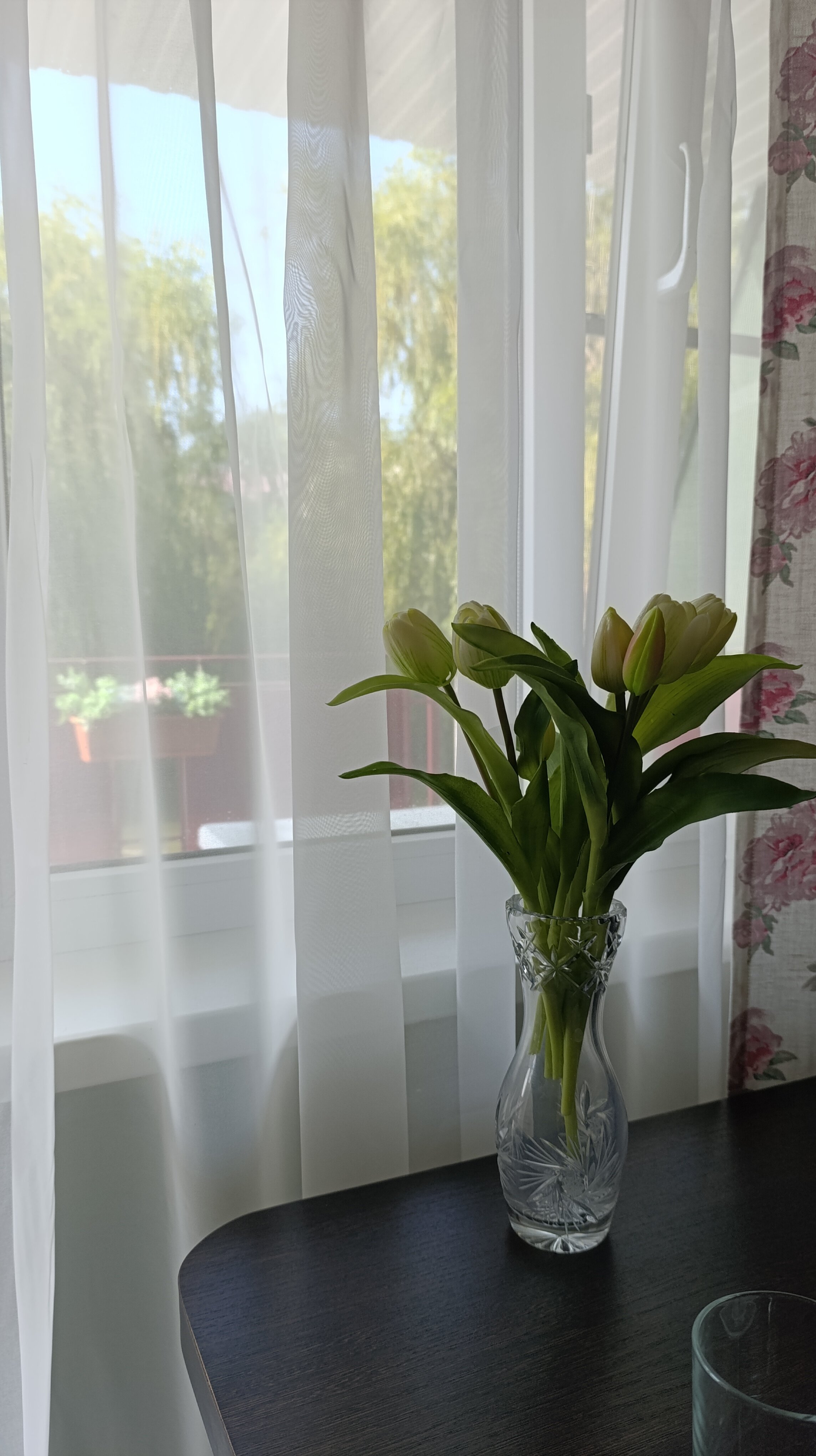 Трехместный номер с видом на озеро