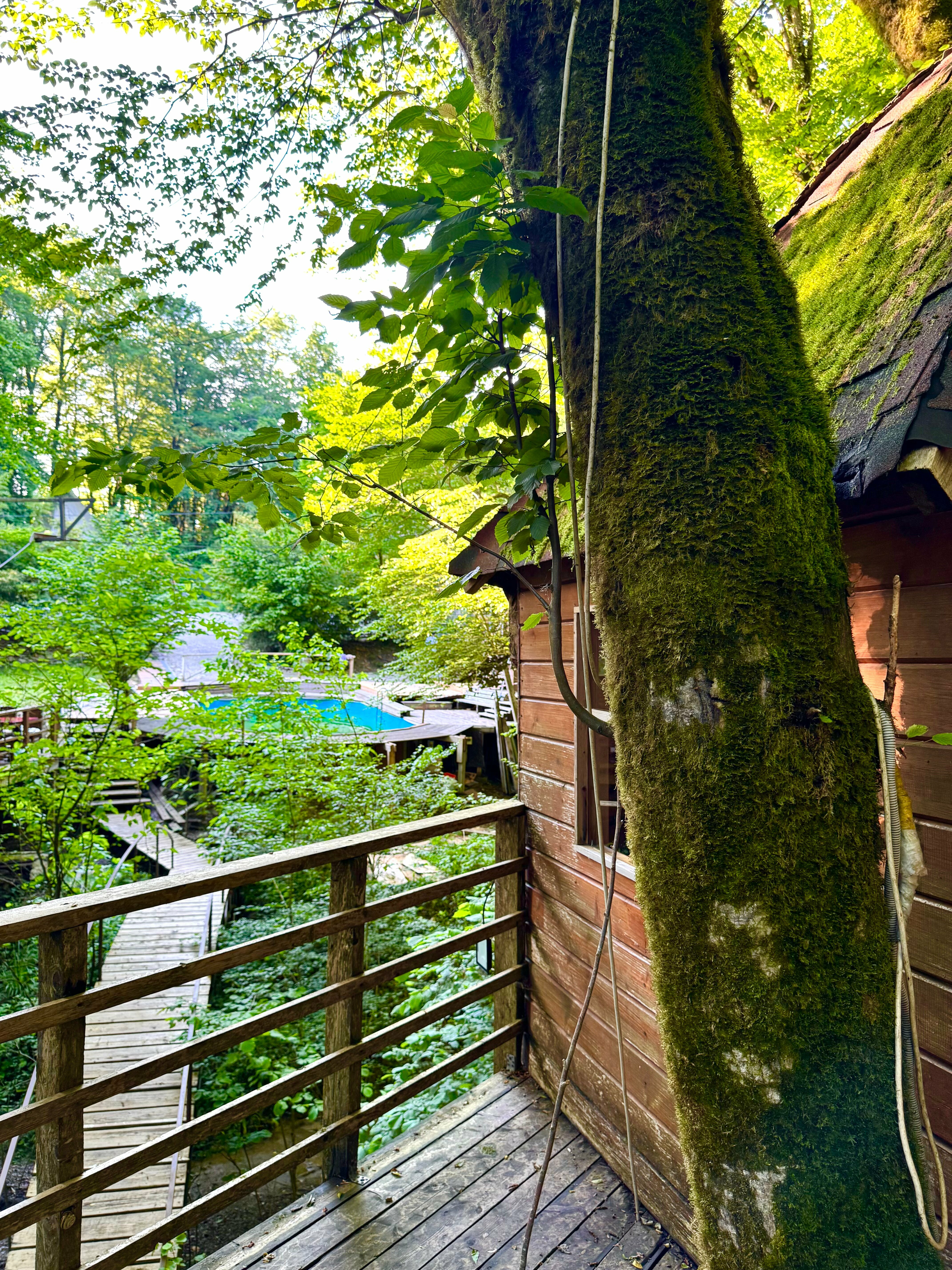 Двухместный номер с 1 кроватью и террасой