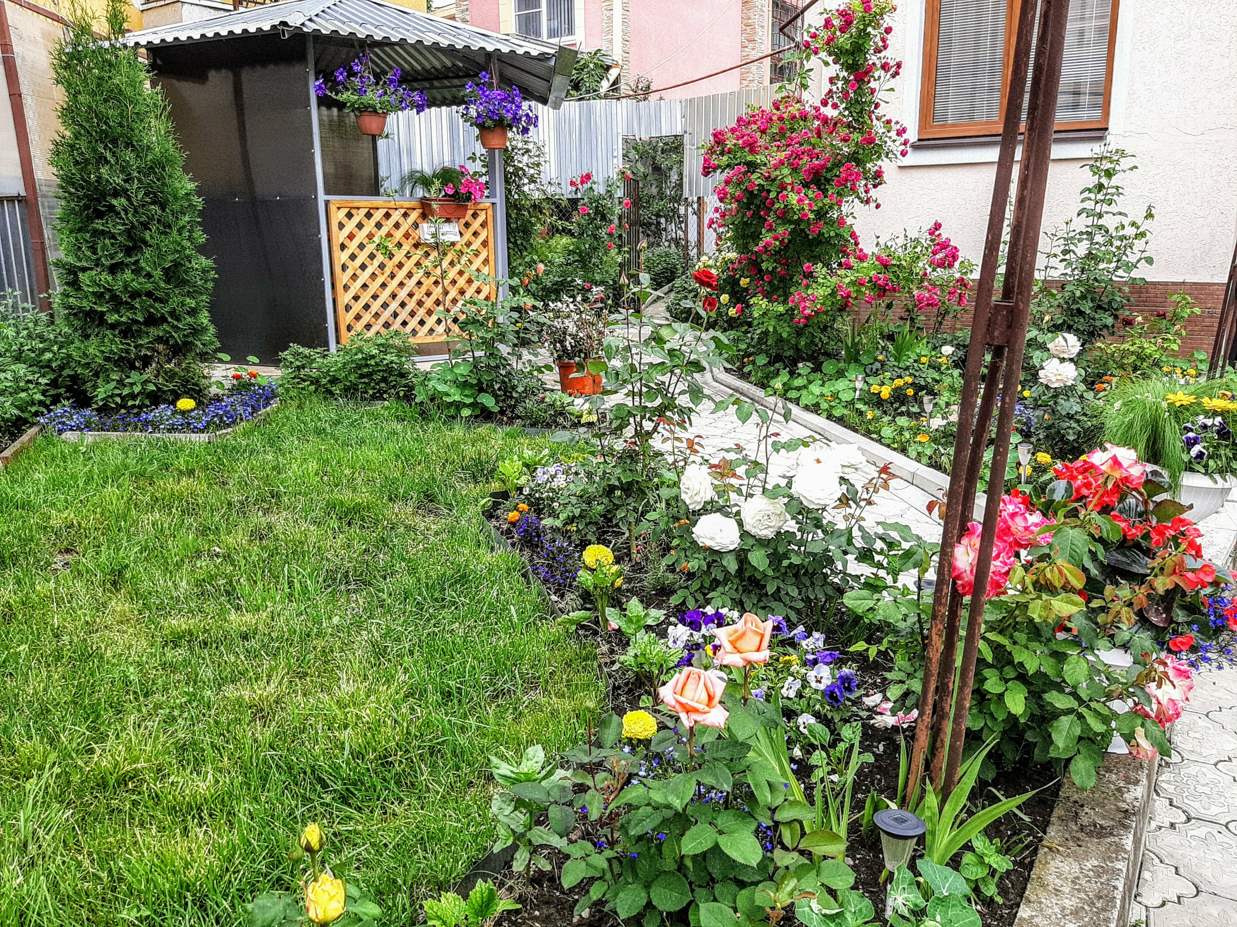 Номер-студия Делюкс с кроватью размера «queen-size»