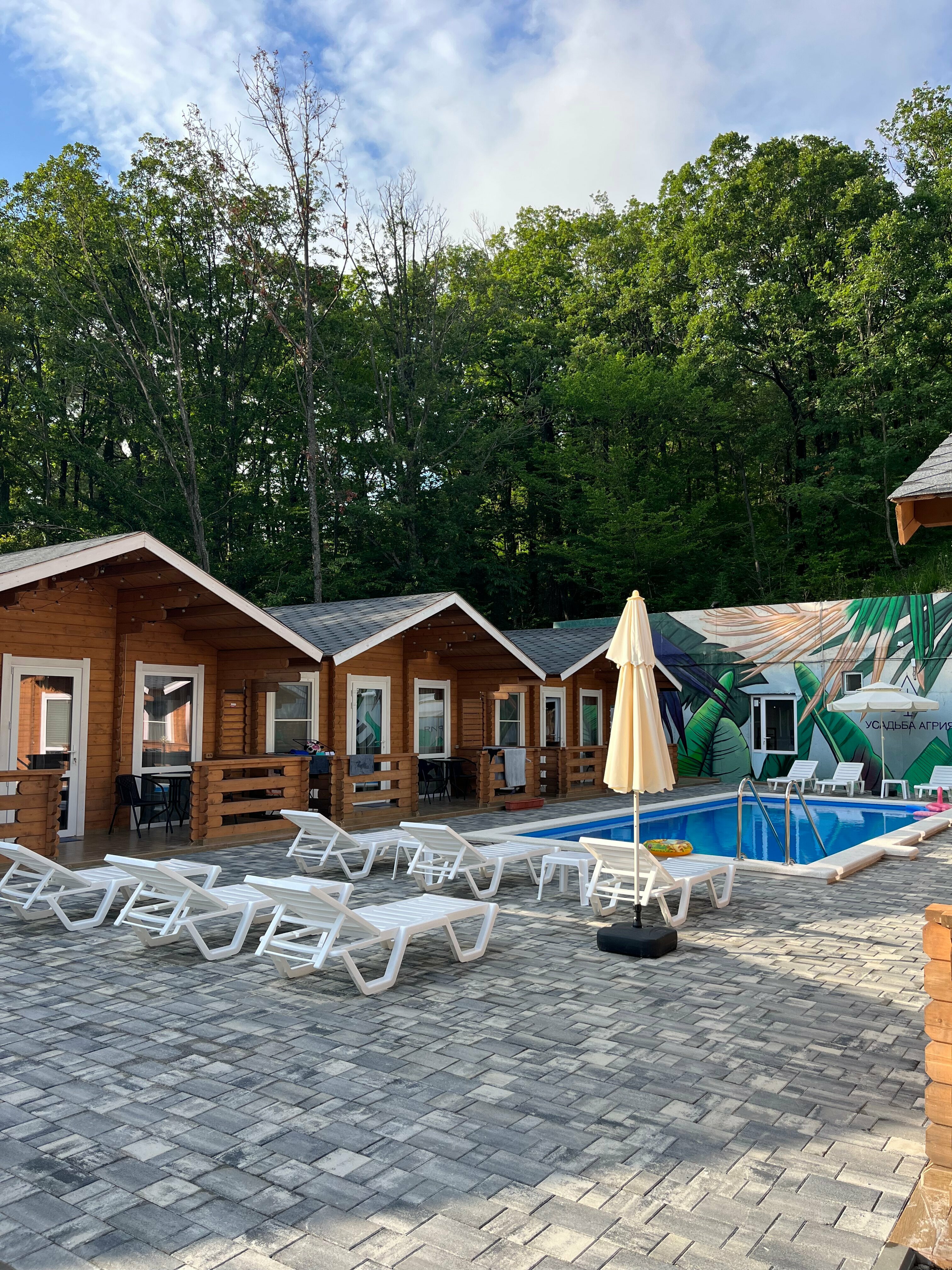 Дом с видом на лес