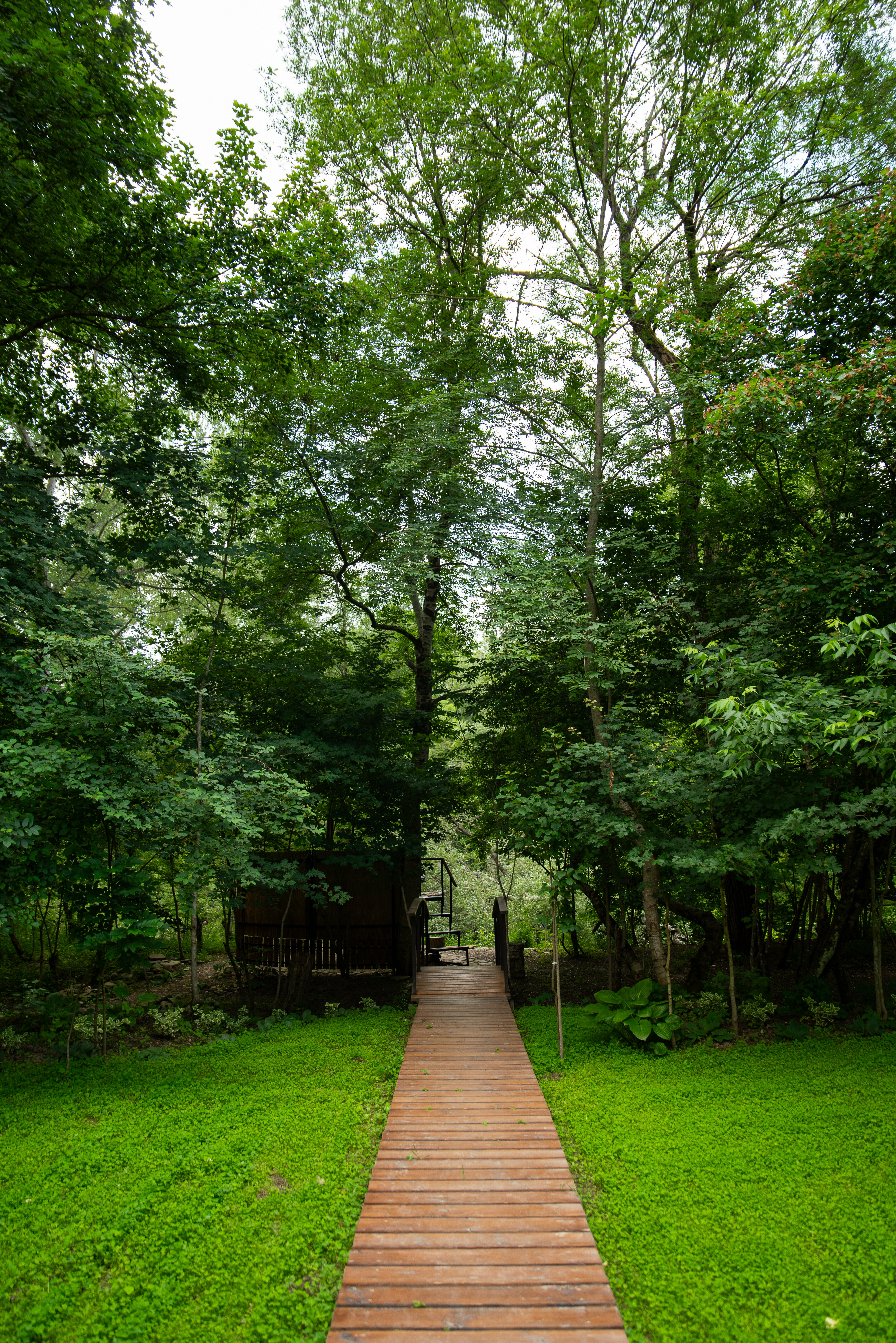 Двухместный номер с 1 кроватью и собственной ванной комнатой