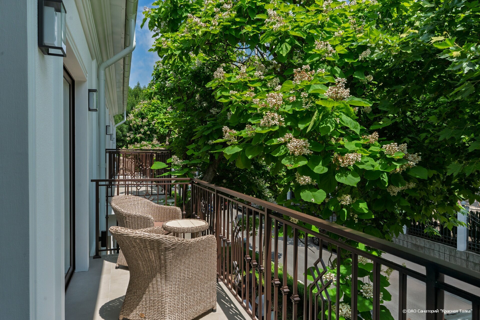 Стандарт Улучшенный Ривьера