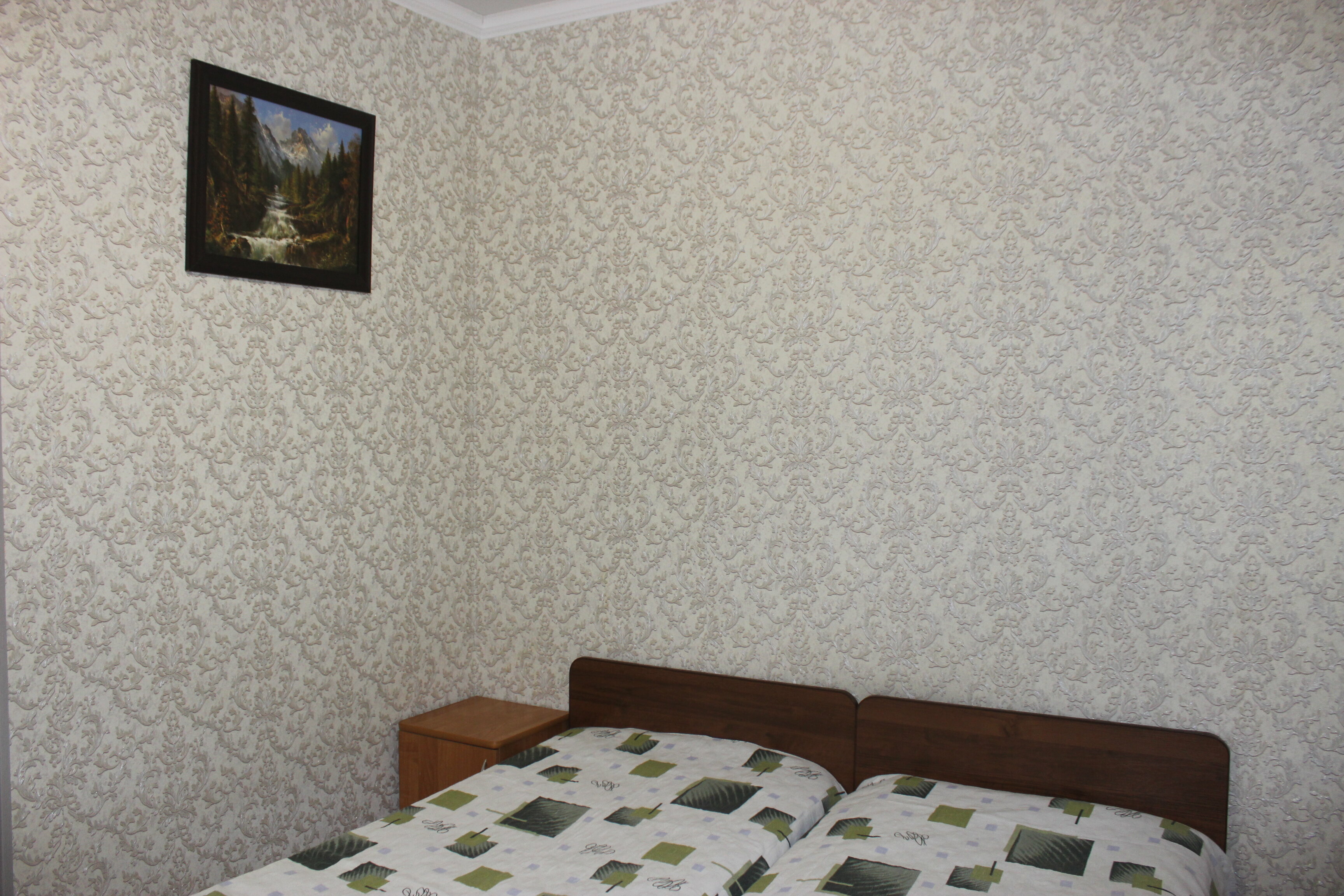 Двухместный номер с 2 отдельными кроватями и душем