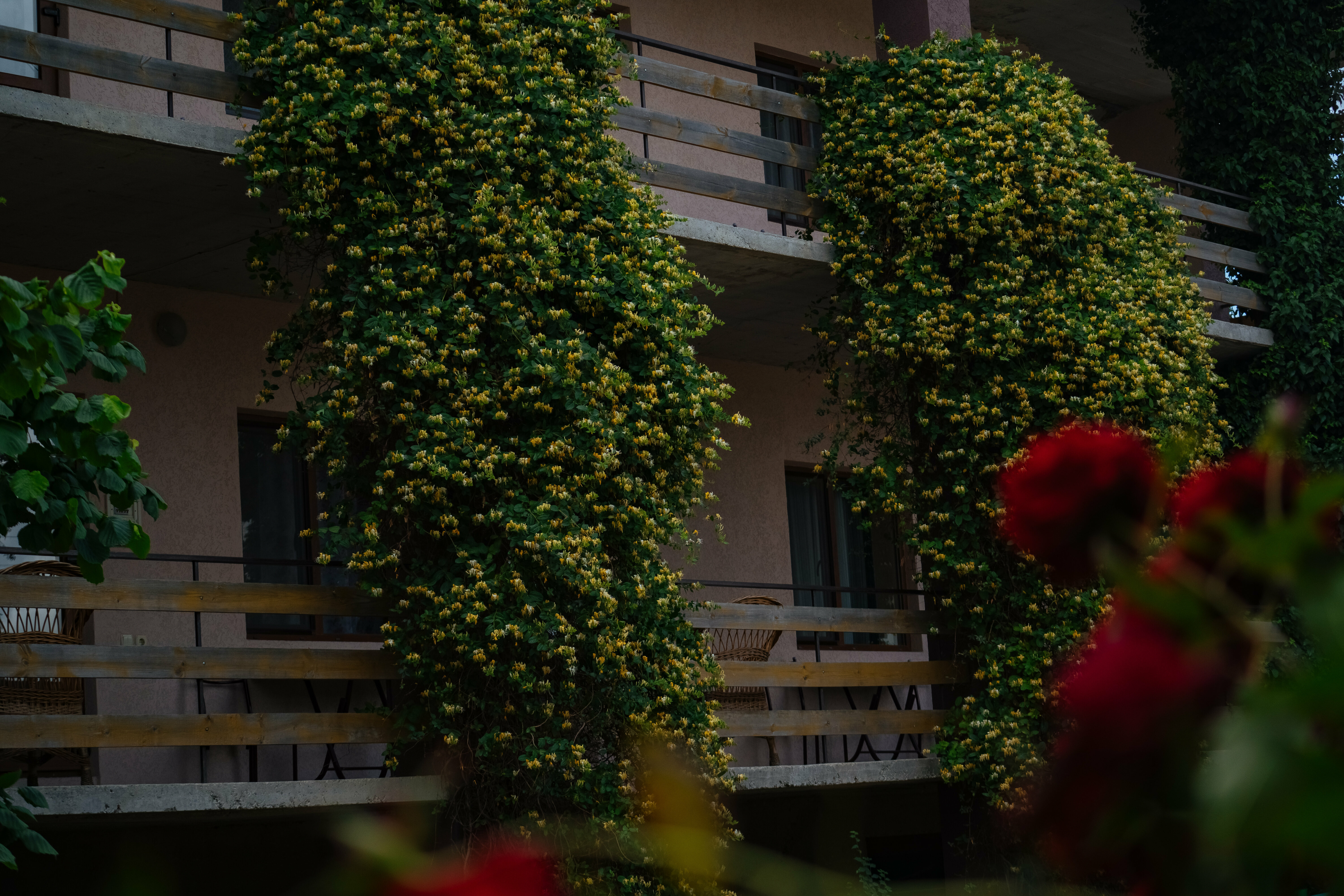 Четырехместный номер