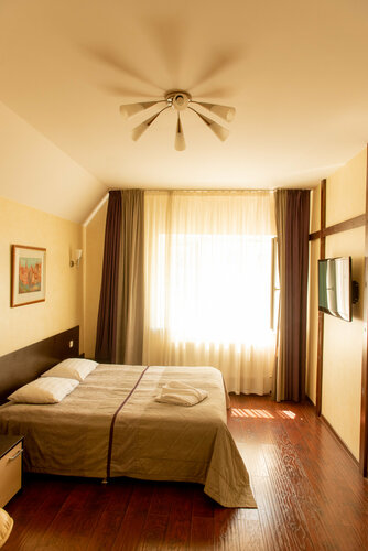 Двухместный номер Делюкс с 1 кроватью