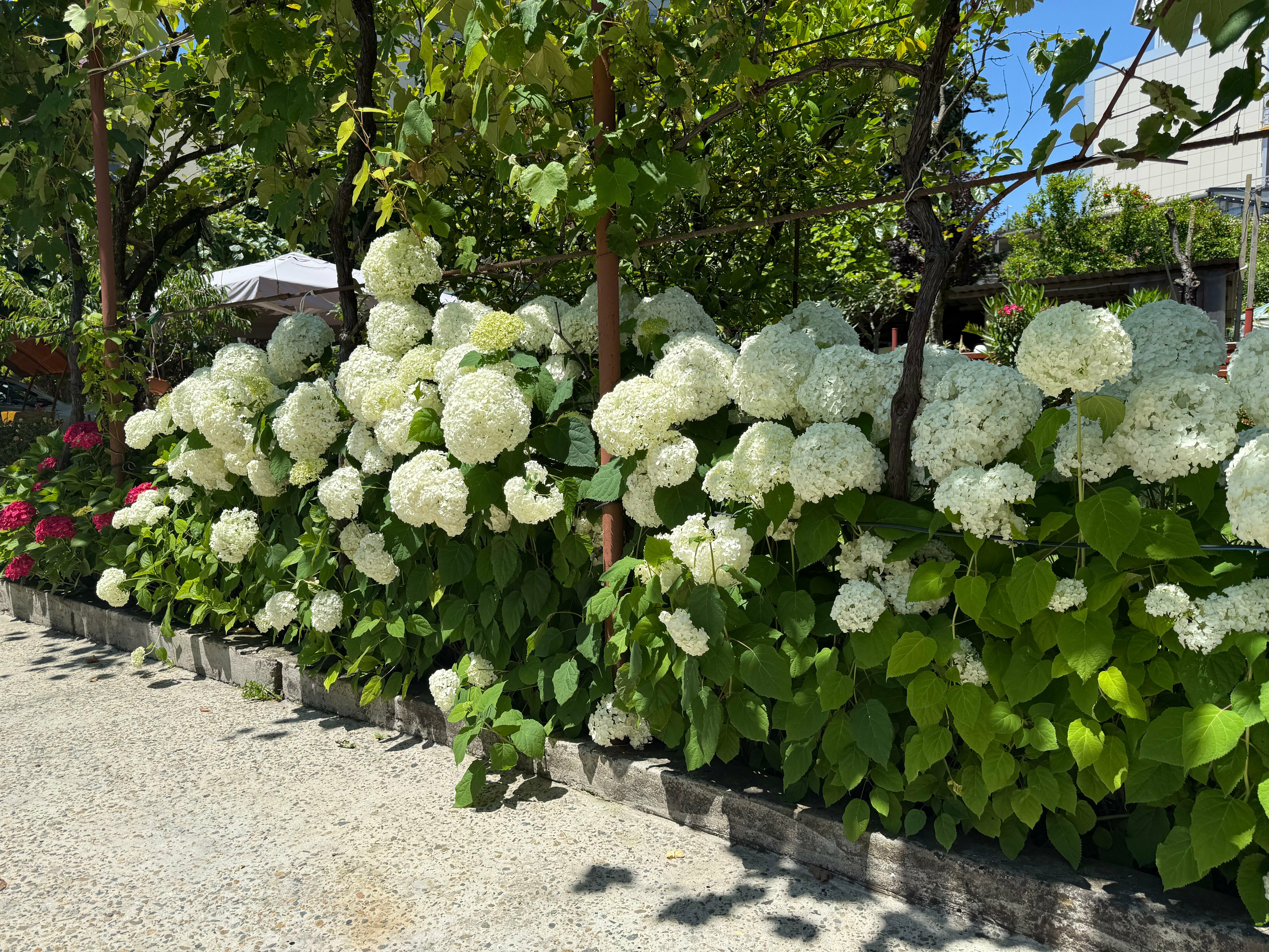 Семейный четырехместный номер с 3мя кроватями