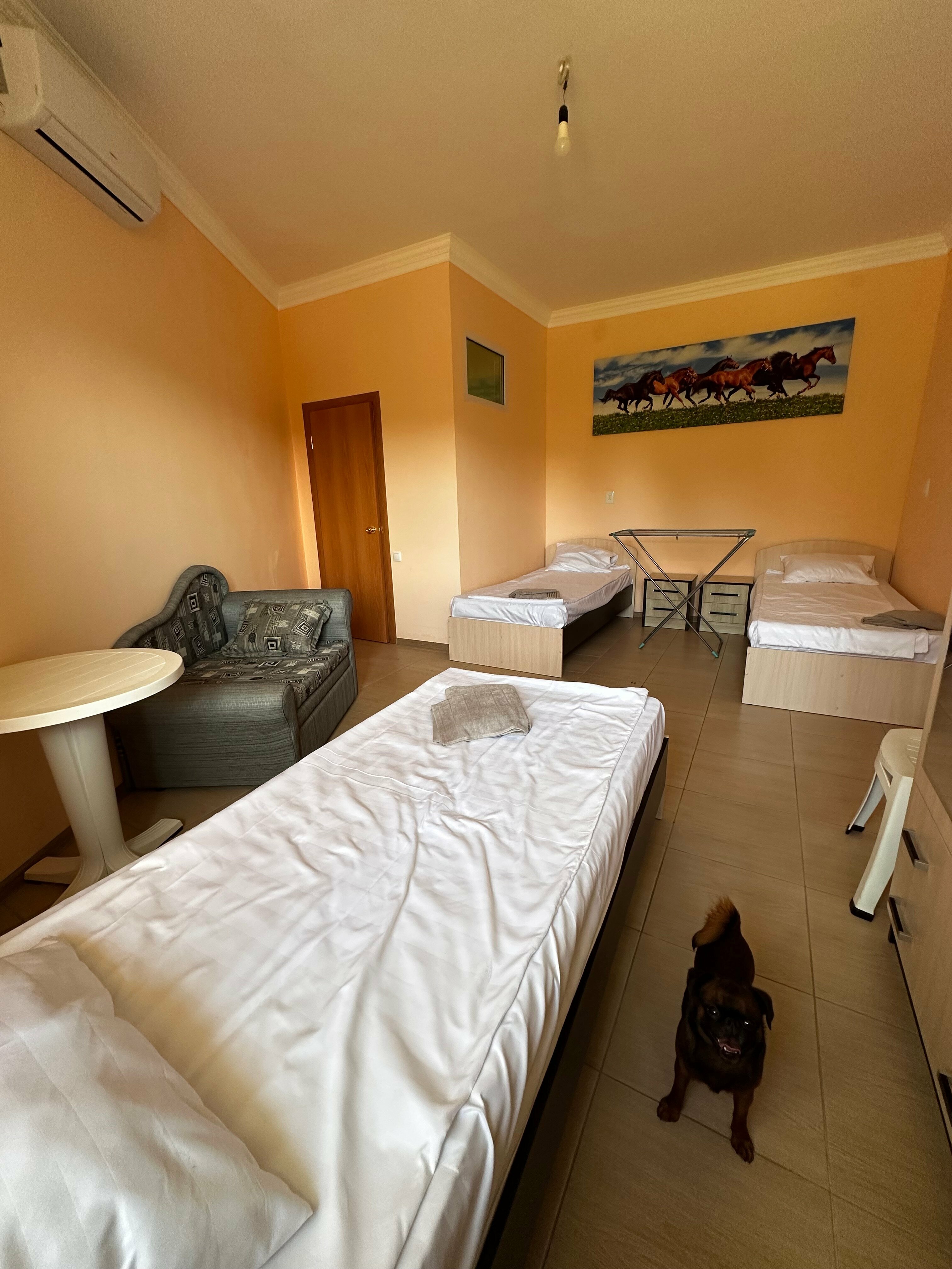 Классический четырехместный номер