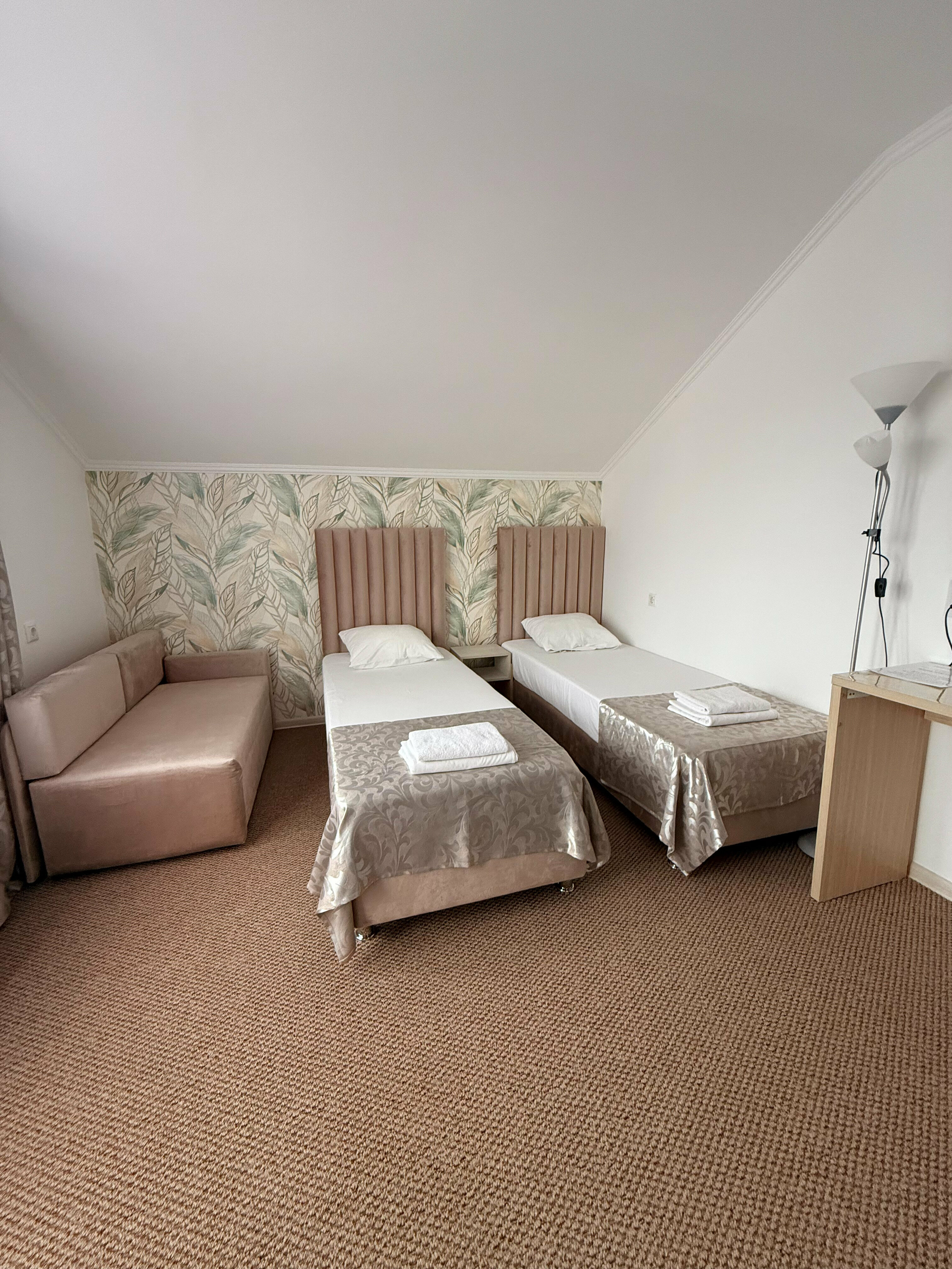 Двухместный номер с 2 отдельными кроватями и балконом