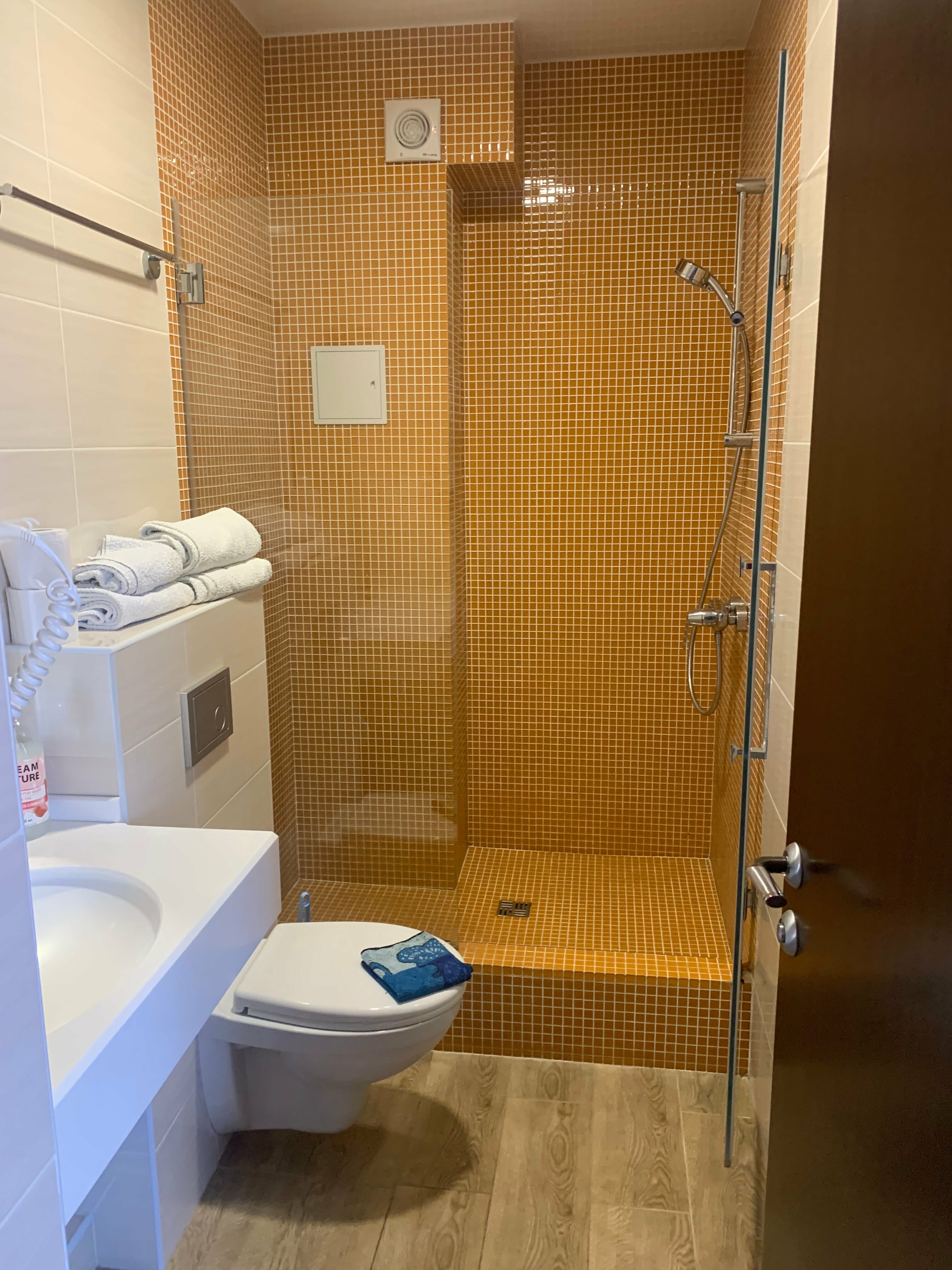 Двухместный с французским балконом