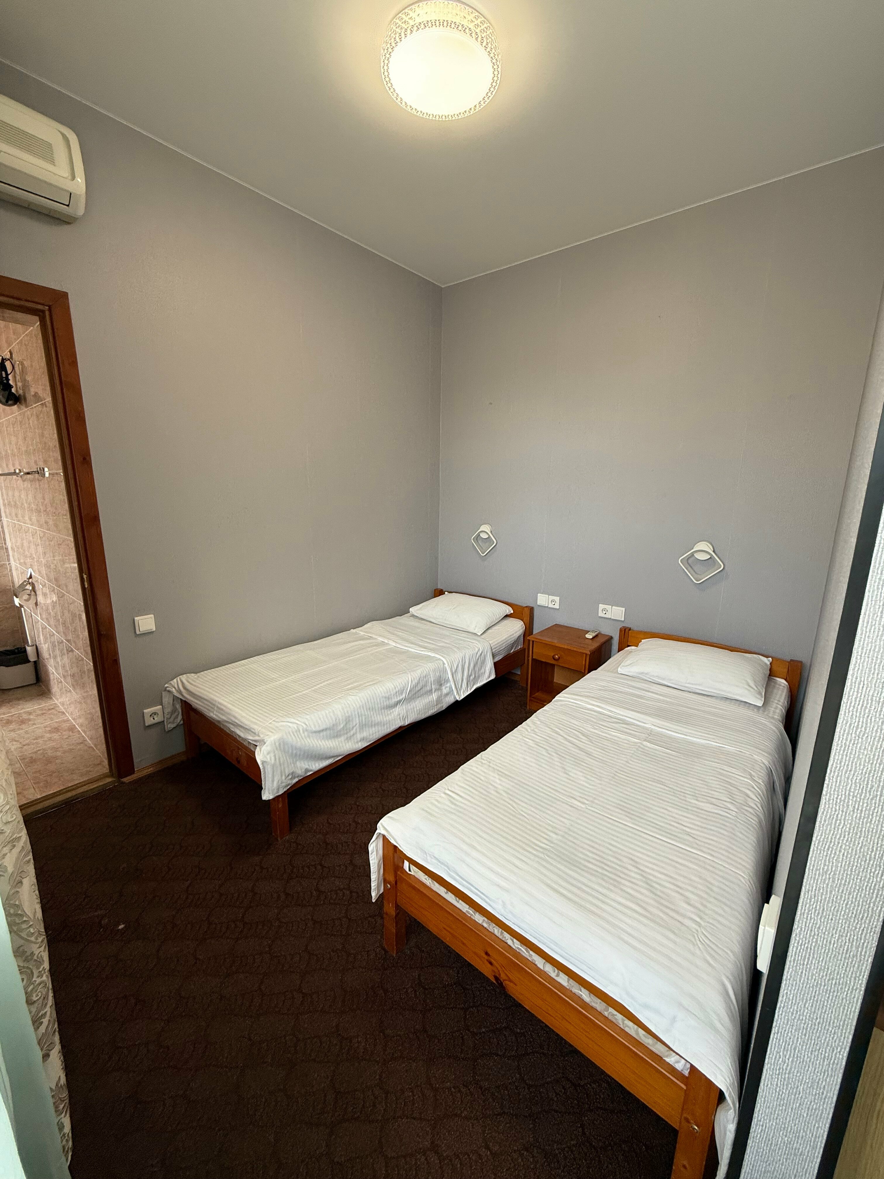 Двухместный номер Делюкс с 2 отдельными кроватями