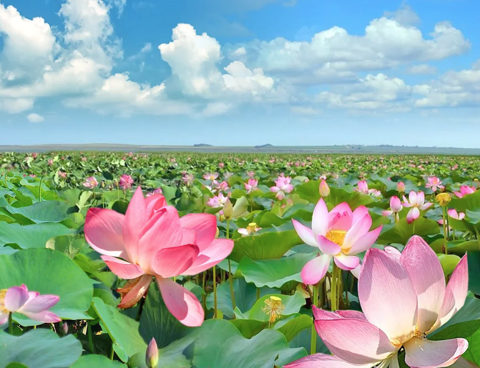 Развлечения