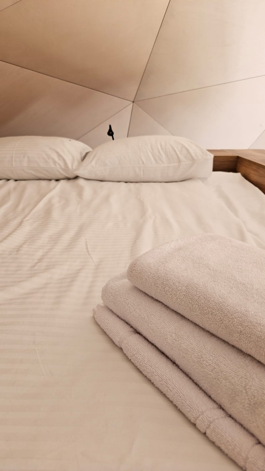 Геокупол №3