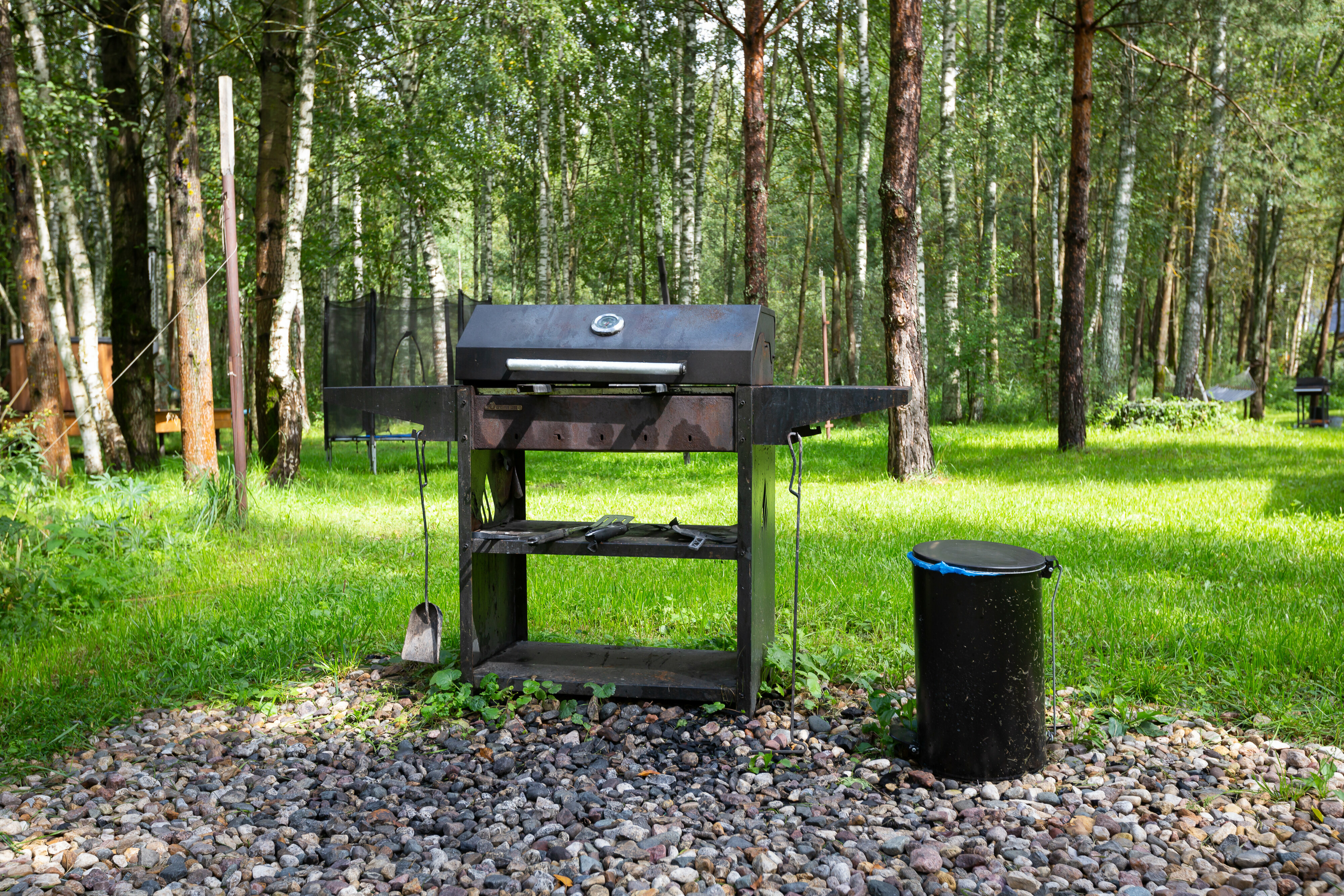 Коттедж с видом на лес