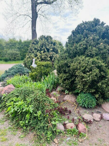 Семейный номер