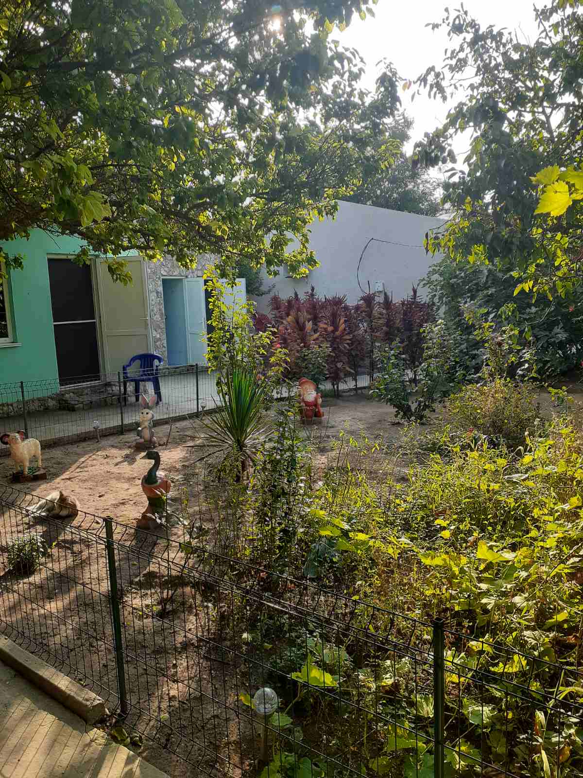 Бюджетный двухместный номер с 1 кроватью