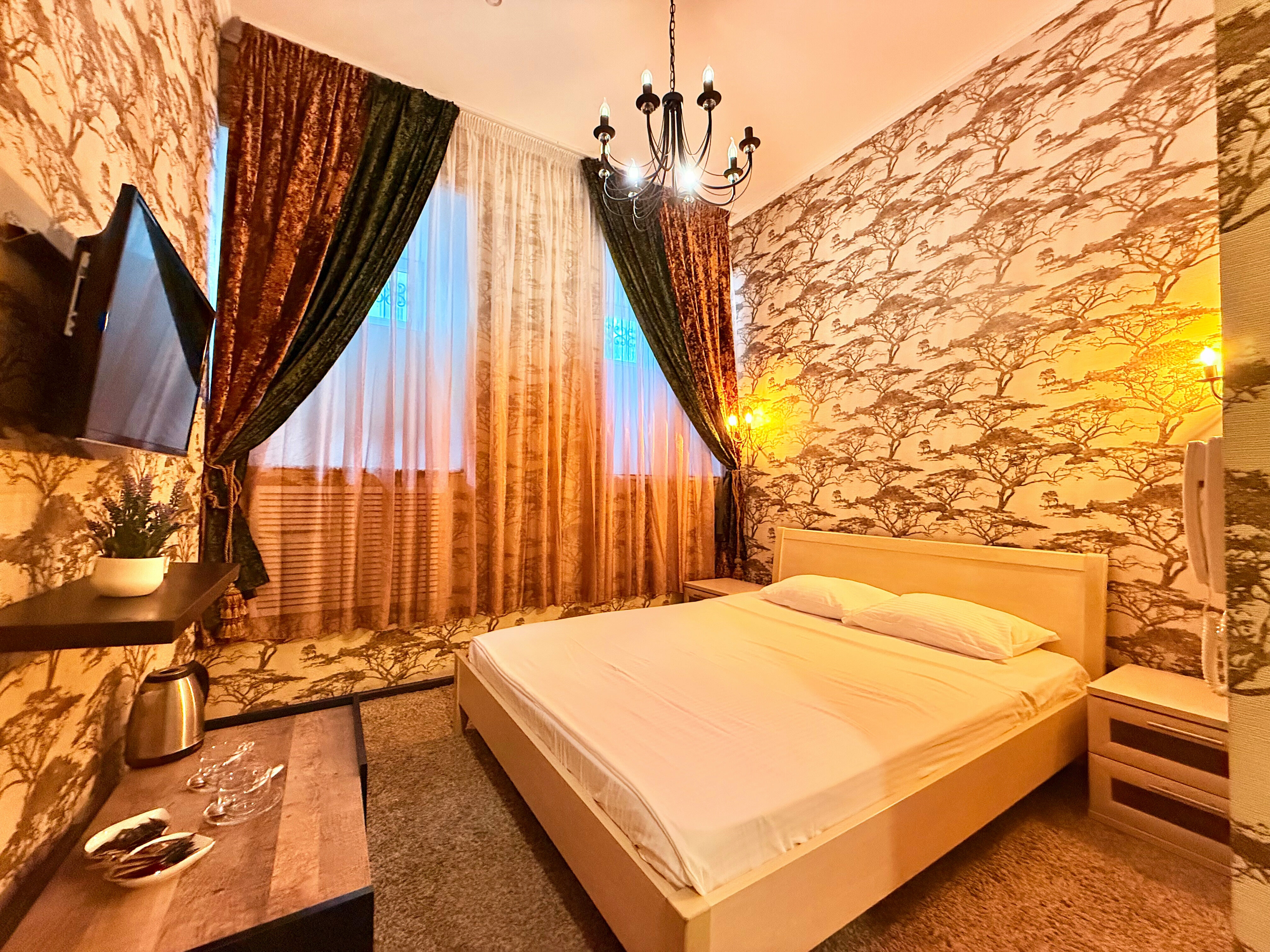 Двухместный номер с 1 кроватью