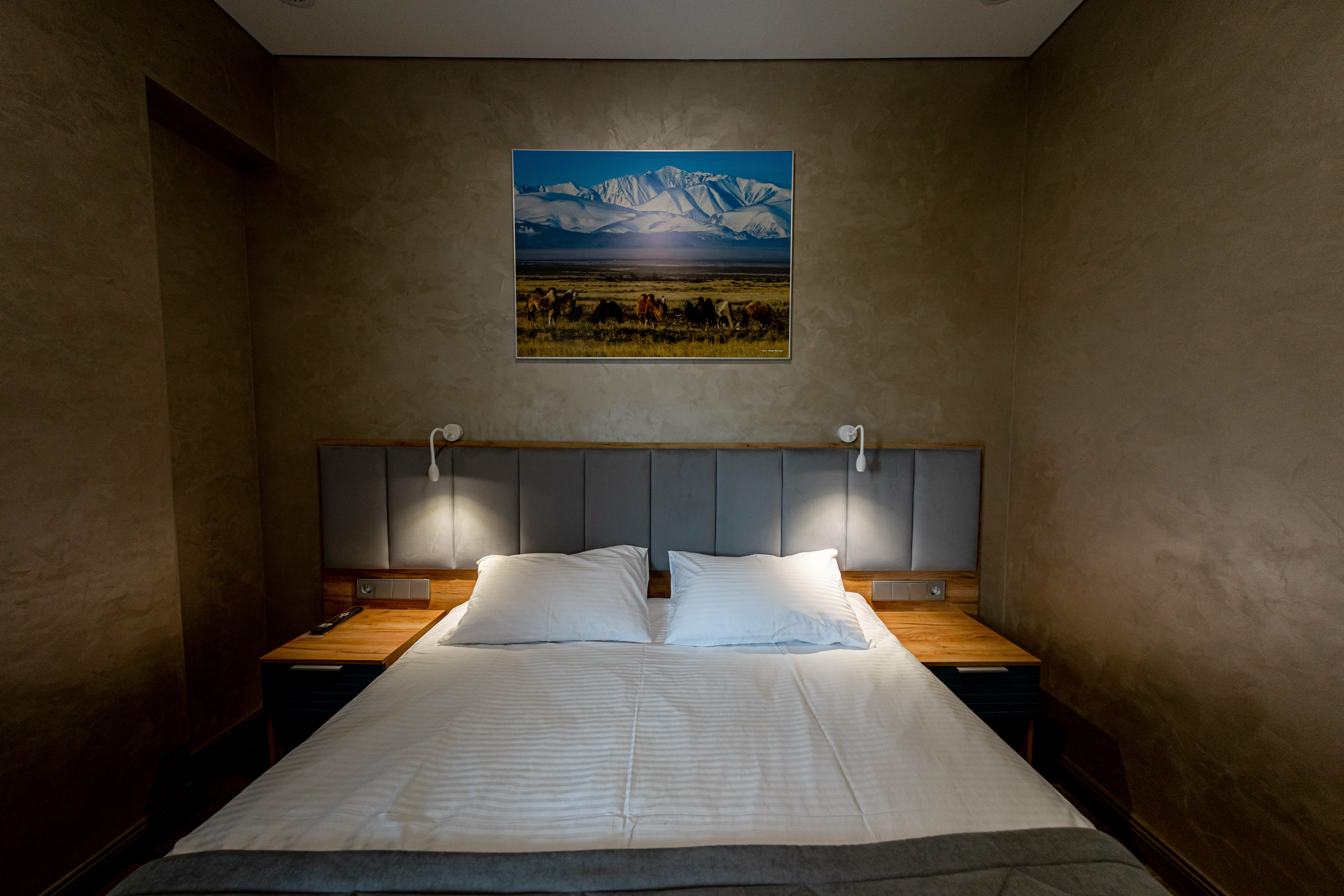 Двухместный номер Делюкс с 1 кроватью