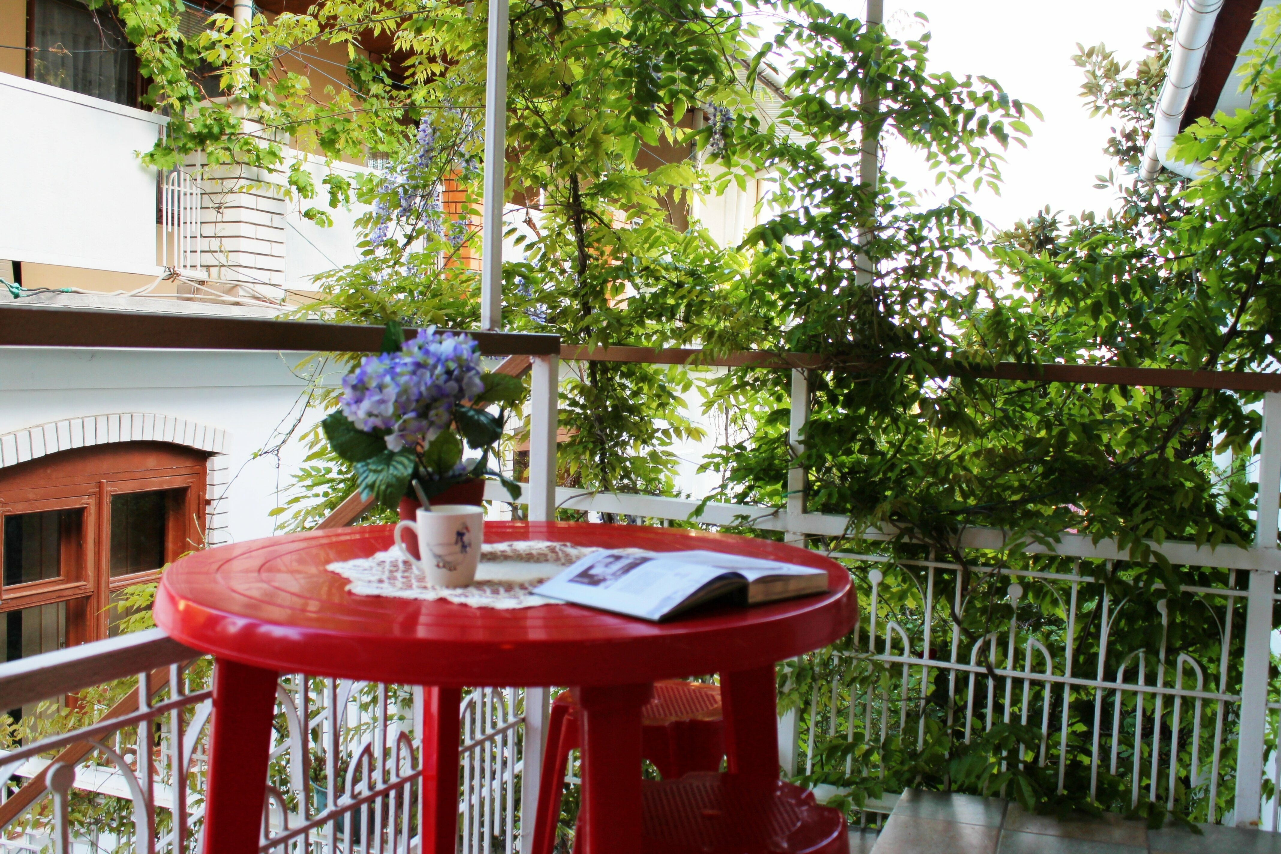 Двухместный номер с 1 кроватью и видом на сад