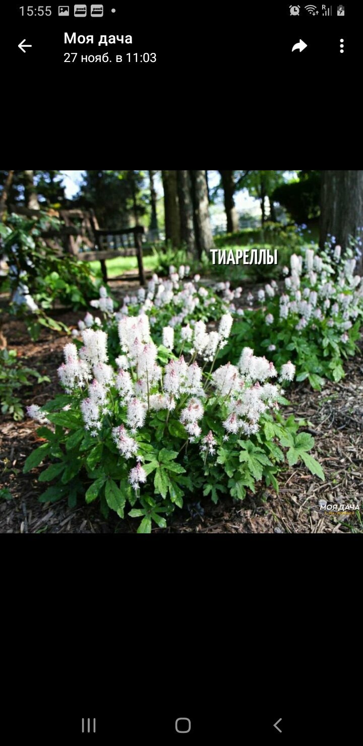 Бюджетный двухместный номер с 2 отдельными кроватями