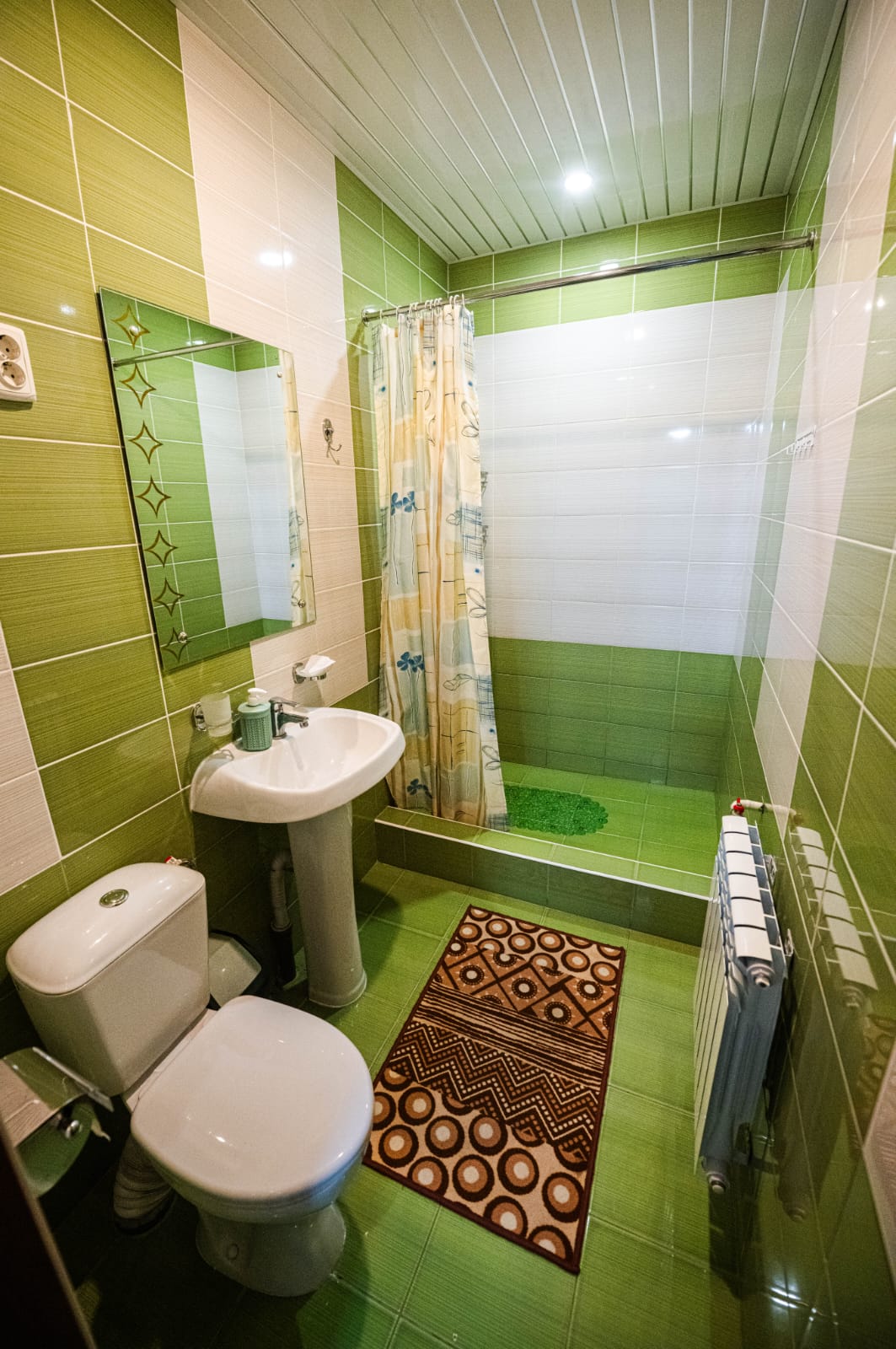 Двухместный номер с 1 кроватью