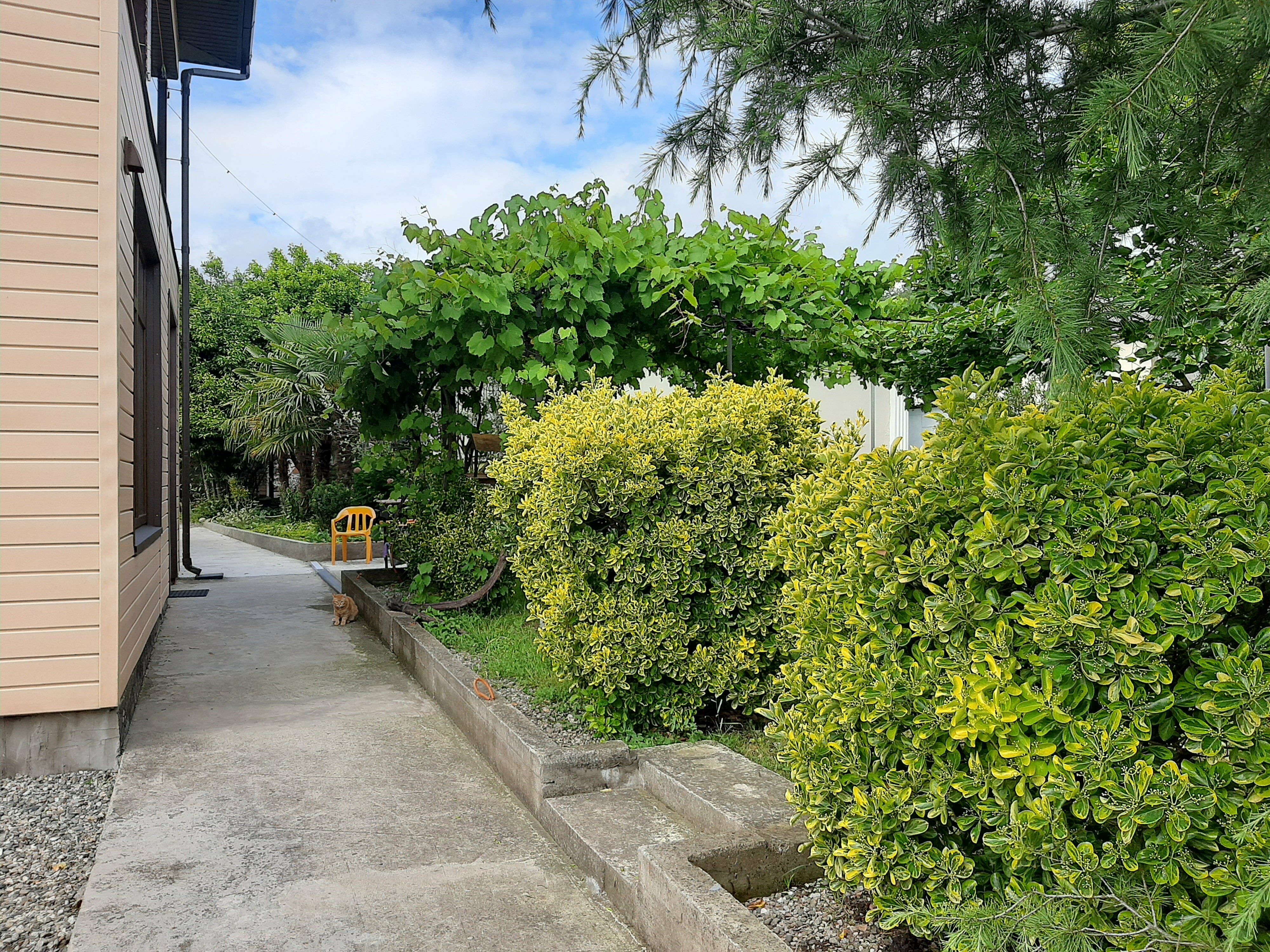 Семейный номер-студия