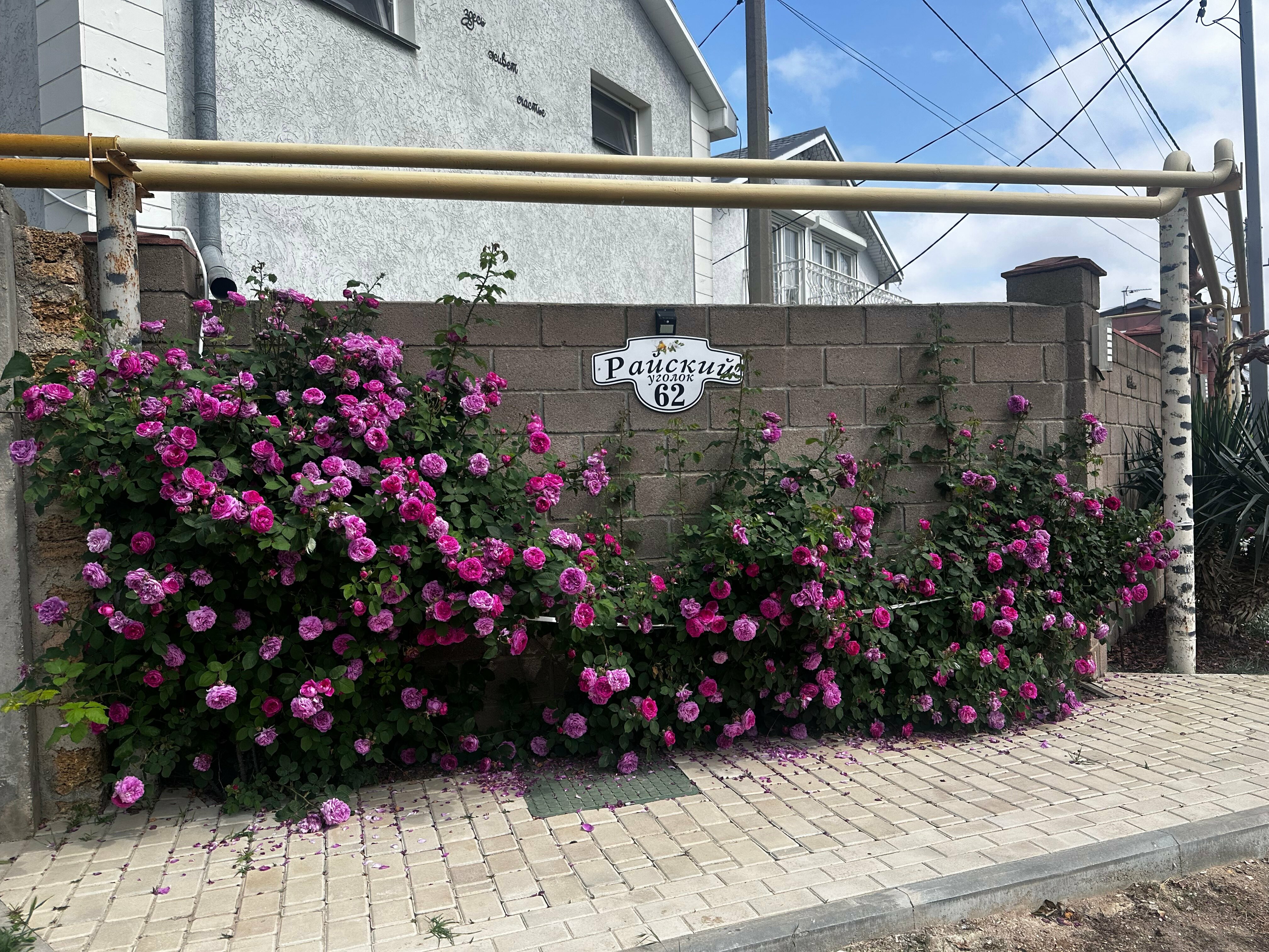 Люкс с балконом