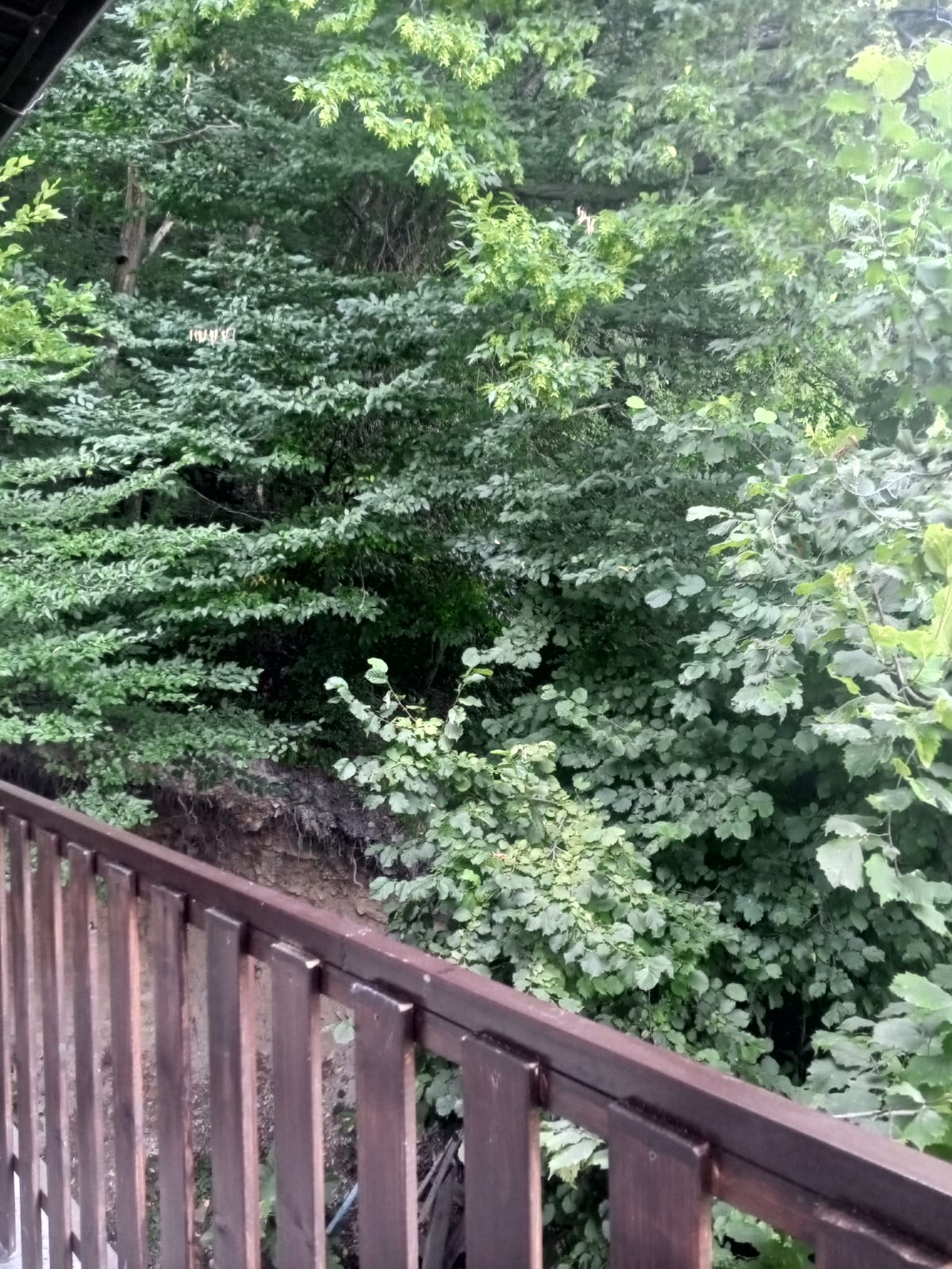 Двухместный номер с балконом и видом на горы и лес