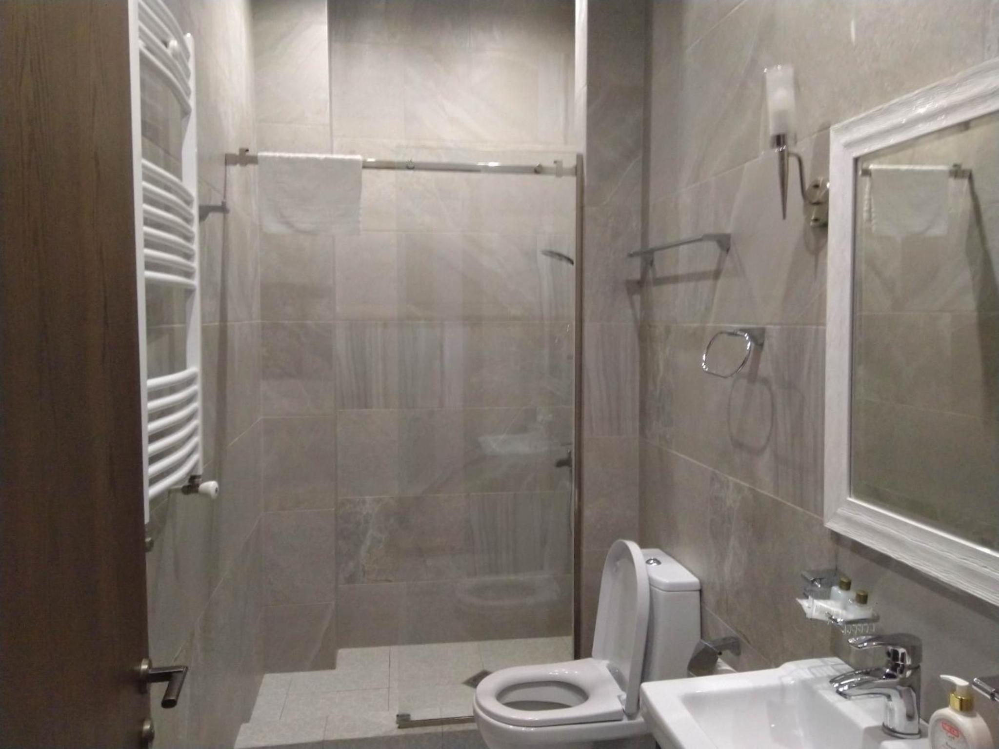 Deluxe Double or Twin Room with City View