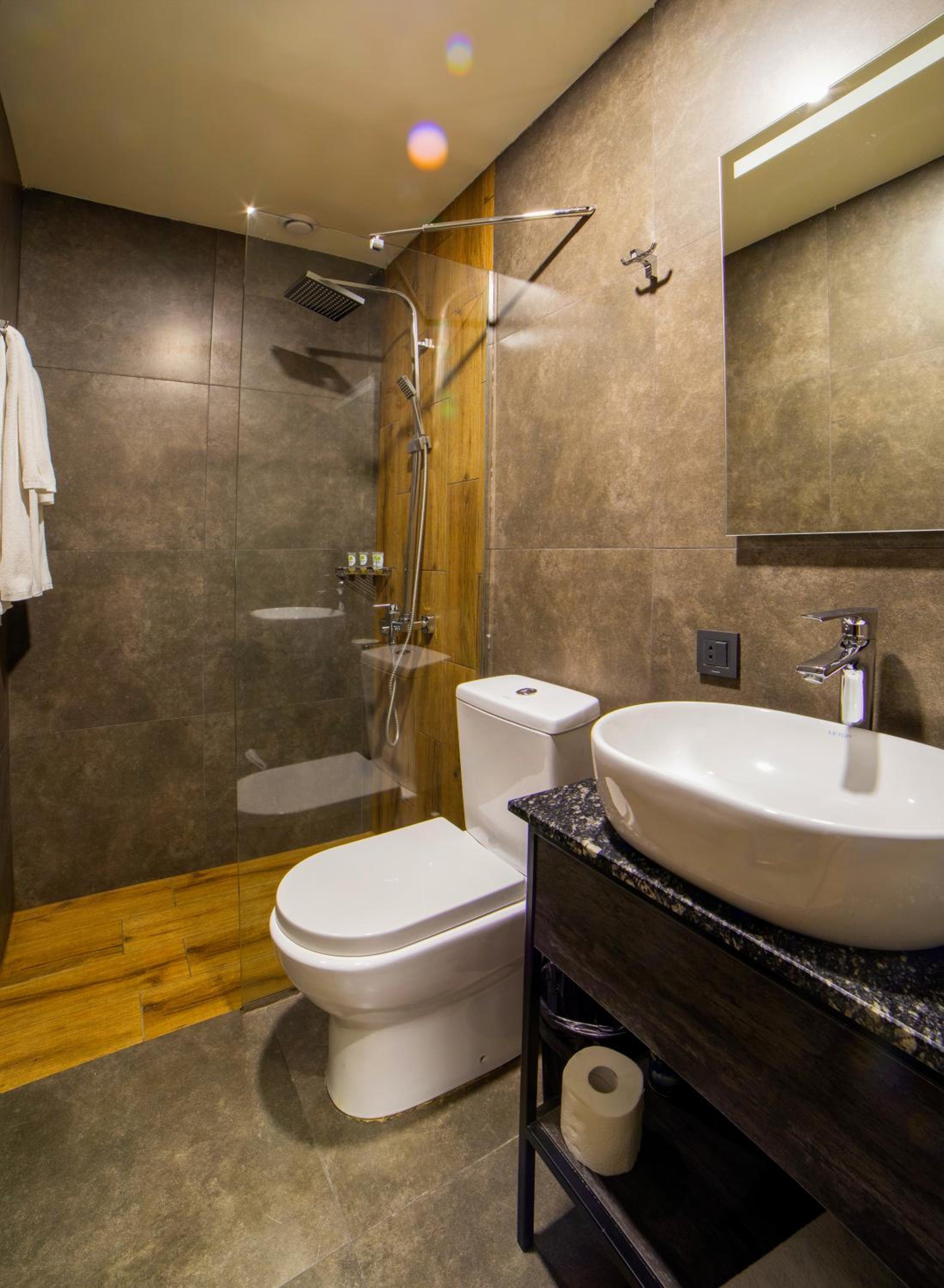 Deluxe Double or Twin Room