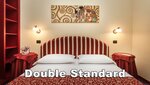 Standard Double Room в Hotel Da Vinci