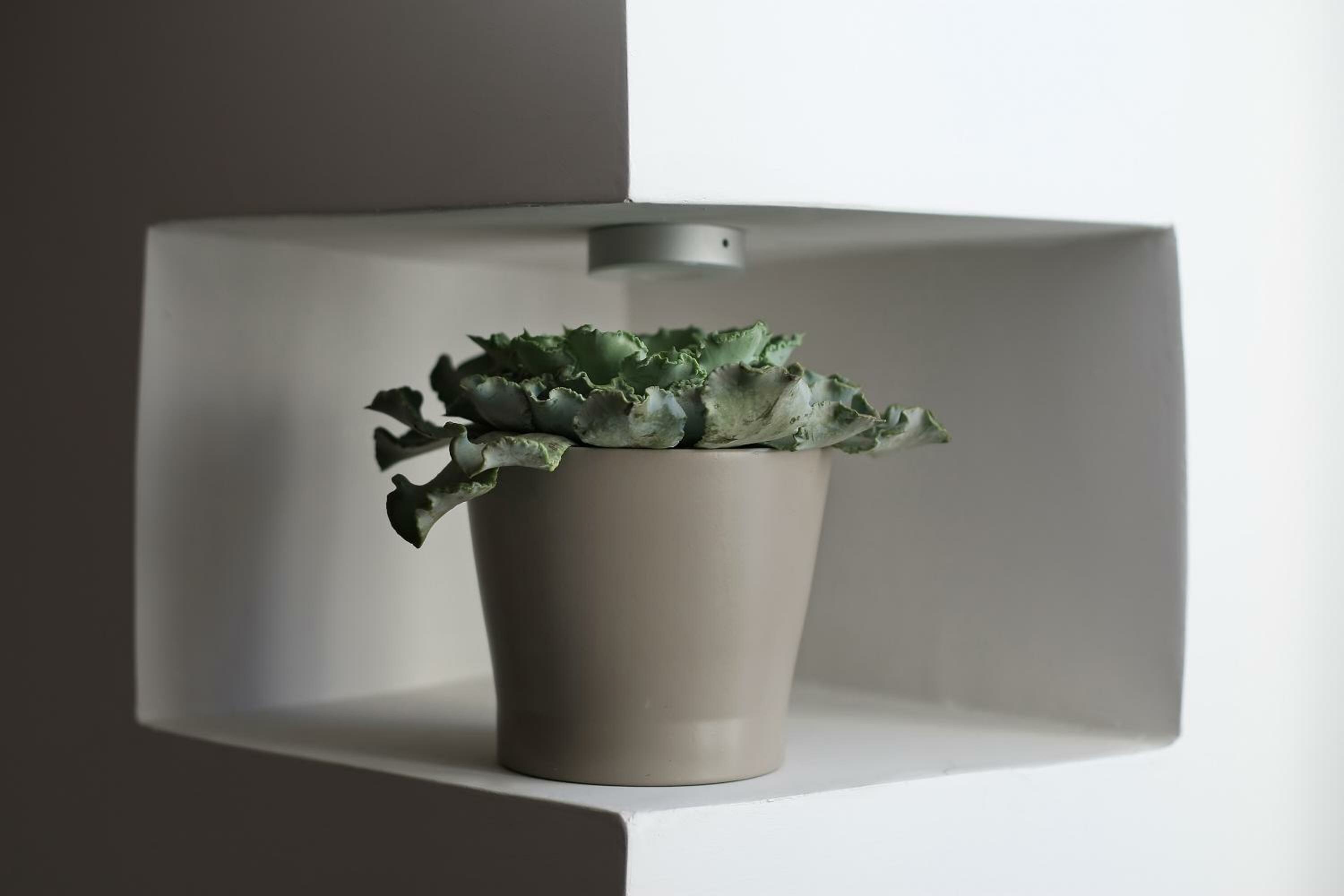 Annex Building Double Room