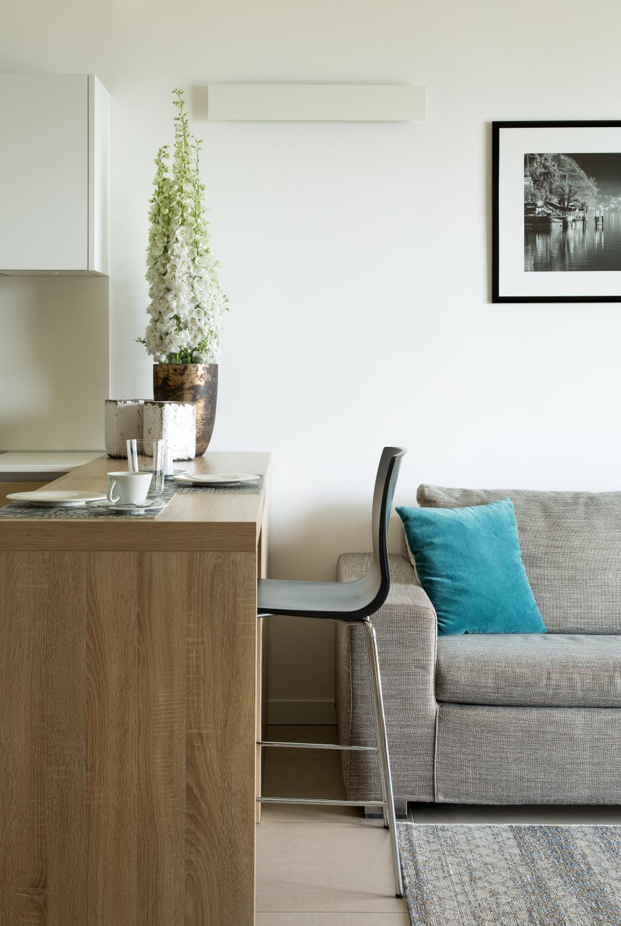 One Bedroom Apartment - Annex