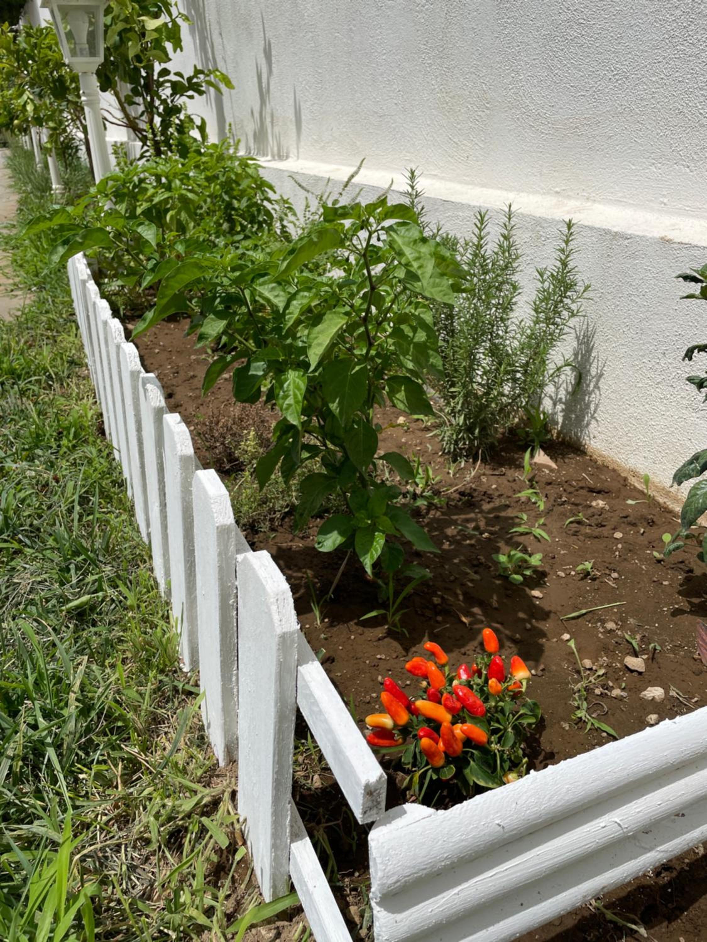 Double Room with Private Entrance and Garden View