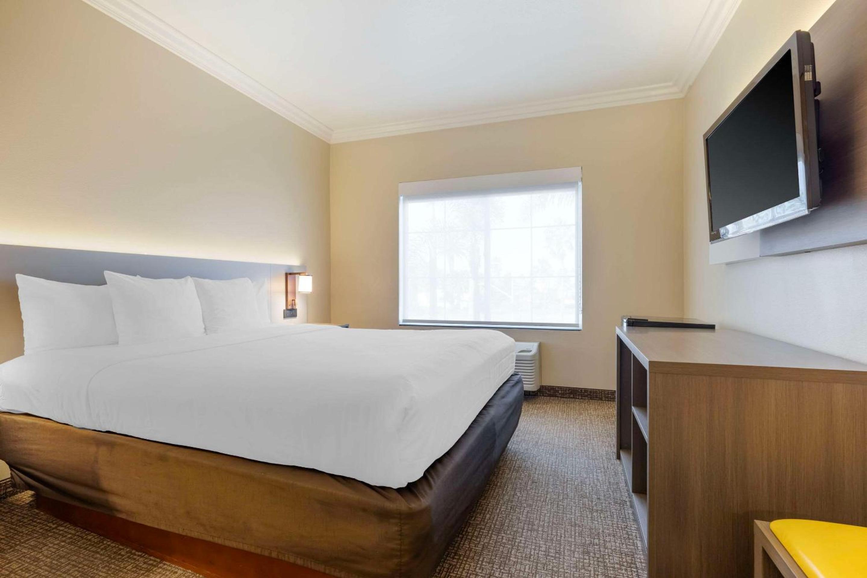 Accessible Junior Suite, 1 King Bed, Sofa Bed, Tub, Non Smoking