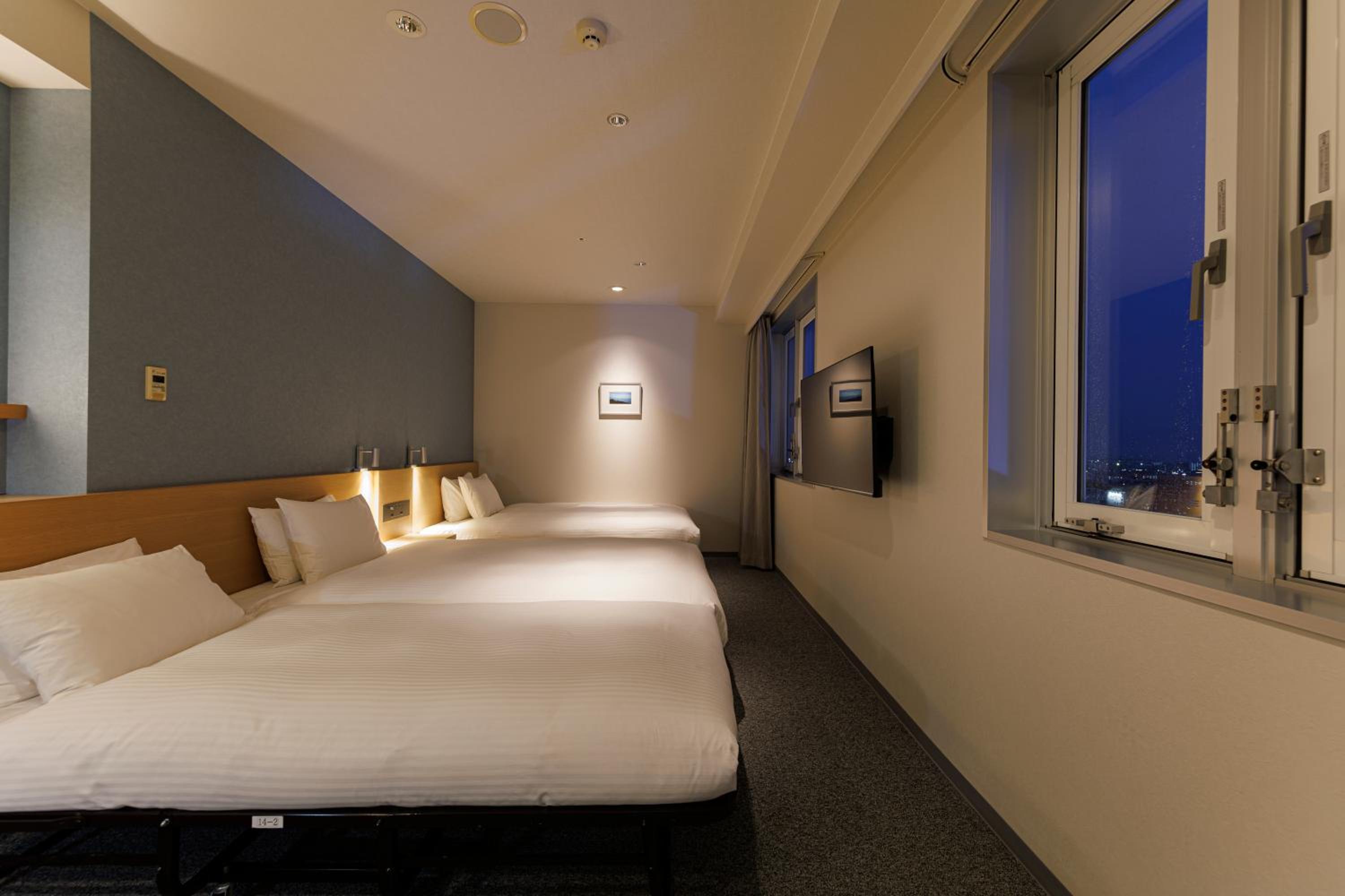 Deluxe Twin Room (3 Adults) - Non-Smoking