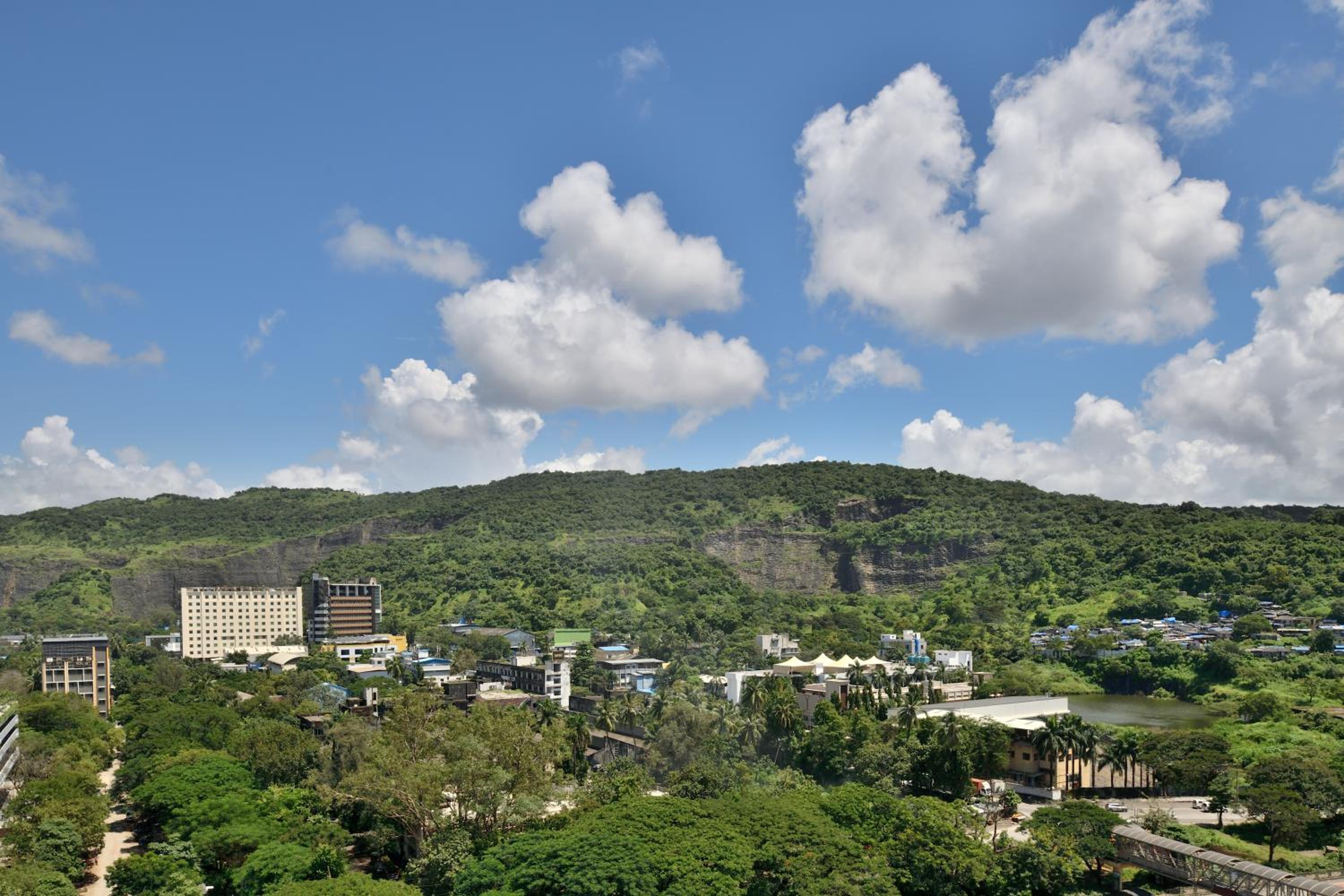 Executive Club King Room - Executive Lounge Access, Stadium View