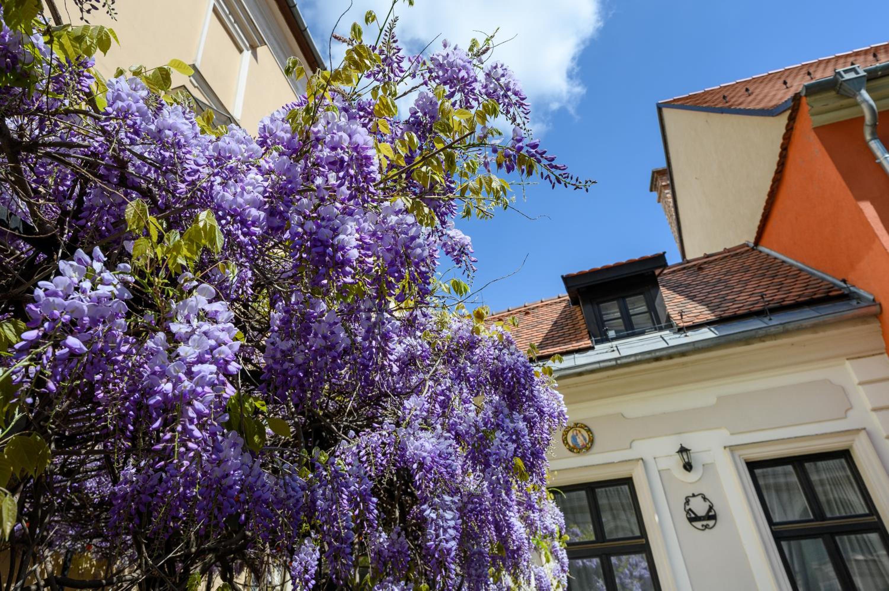 Petite Maison Deluxe Double Room