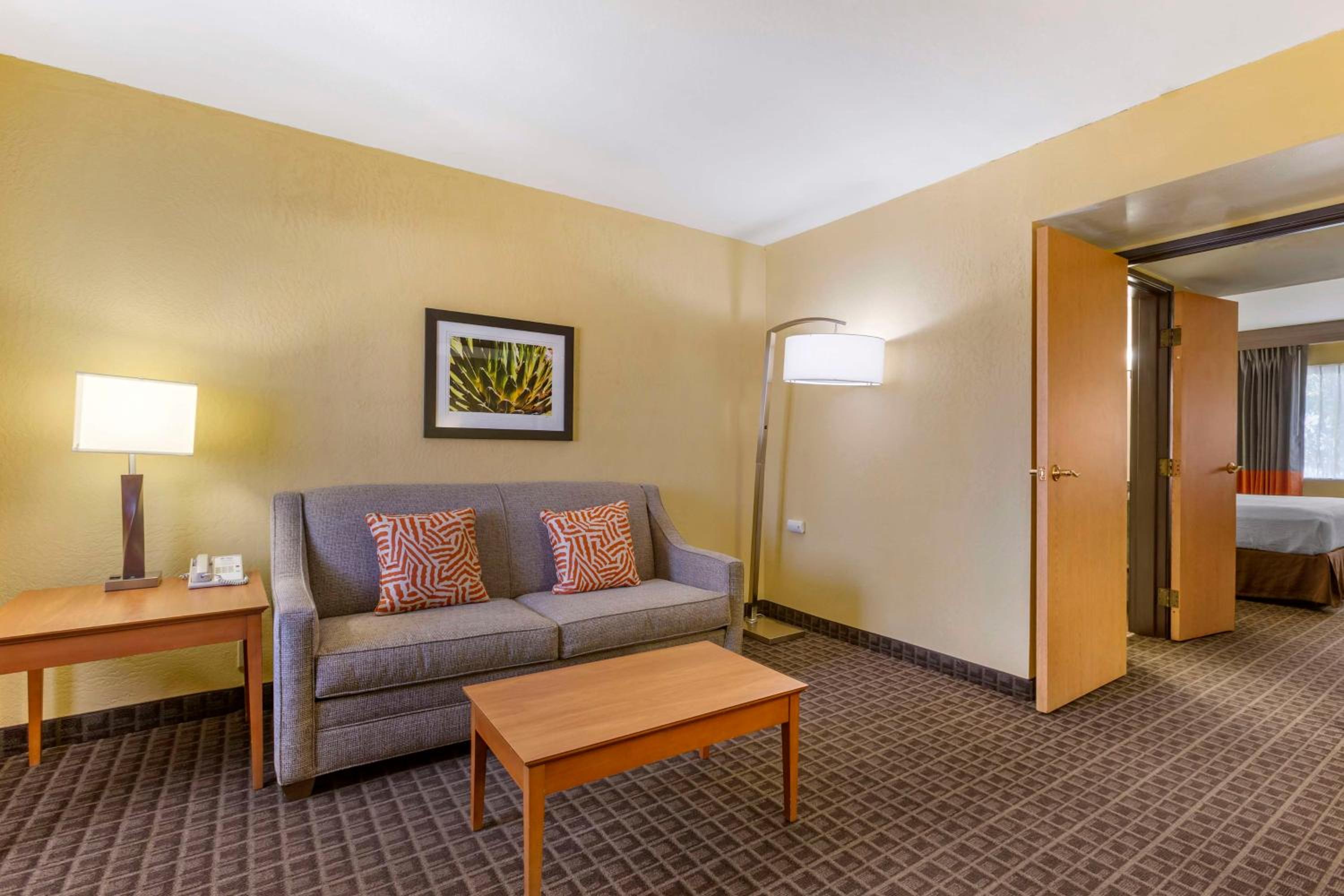 Deluxe One-Bedroom King Suite